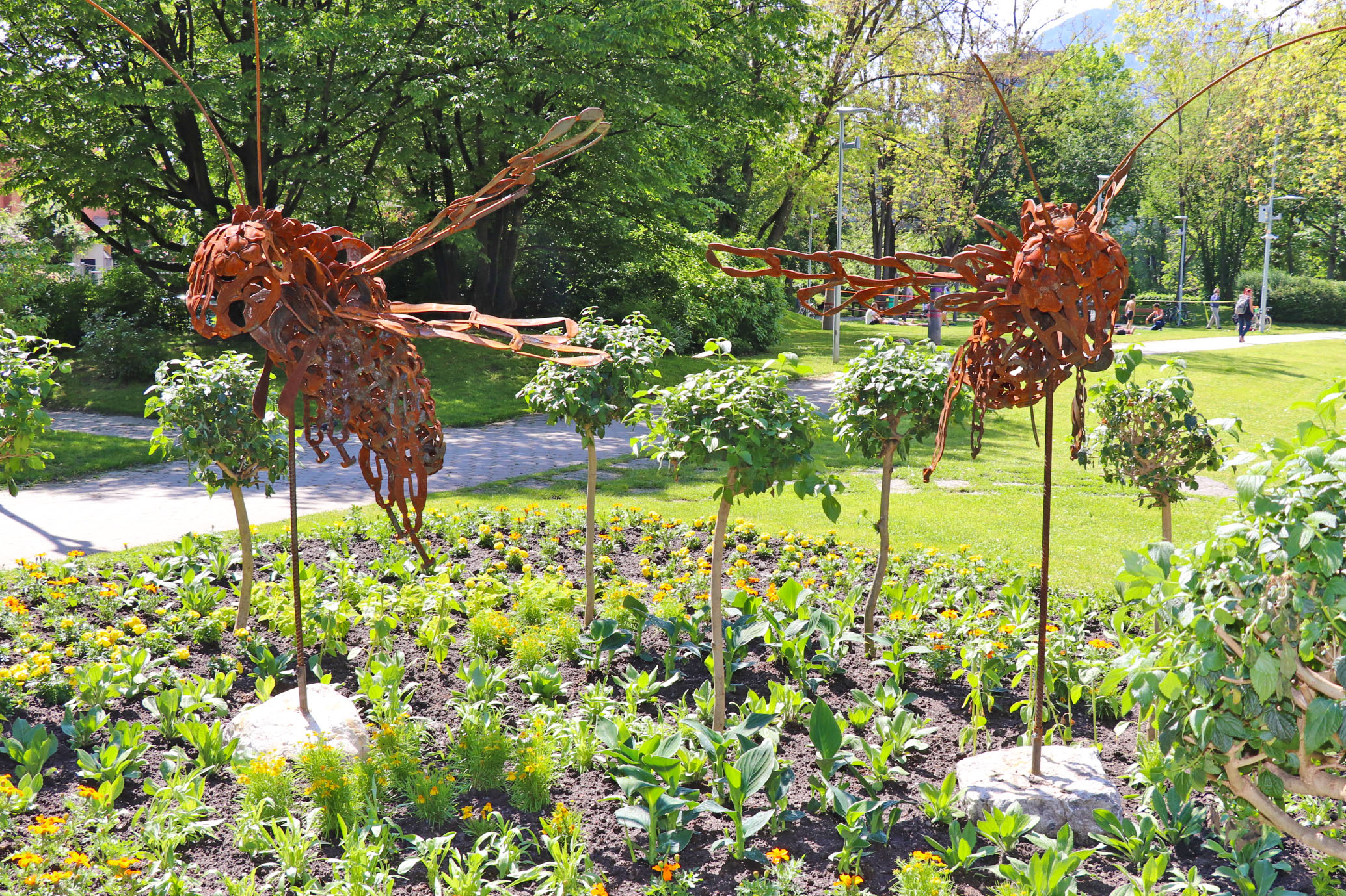 In Innsbruck gibt es neben der Honigbiene mehr als 700 Wildbienenarten. Viele von diesen Arten benötigen spezielle Pflanzen und Lebensräume für ihr Überleben.