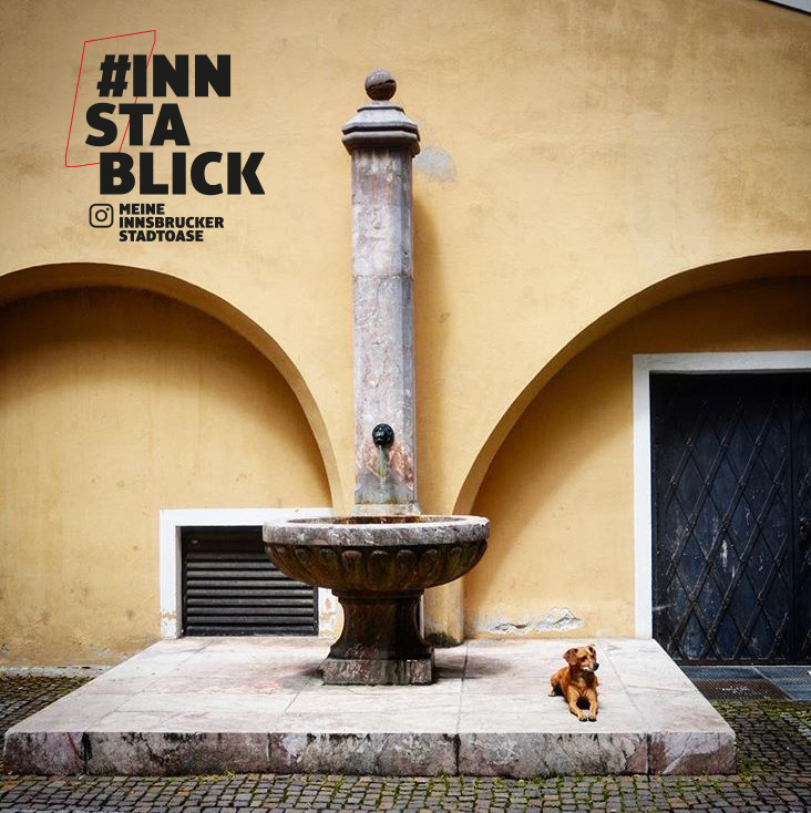 Noch bis 9. September werden Innsbrucks Stadtoasen auf Instagram gesucht.