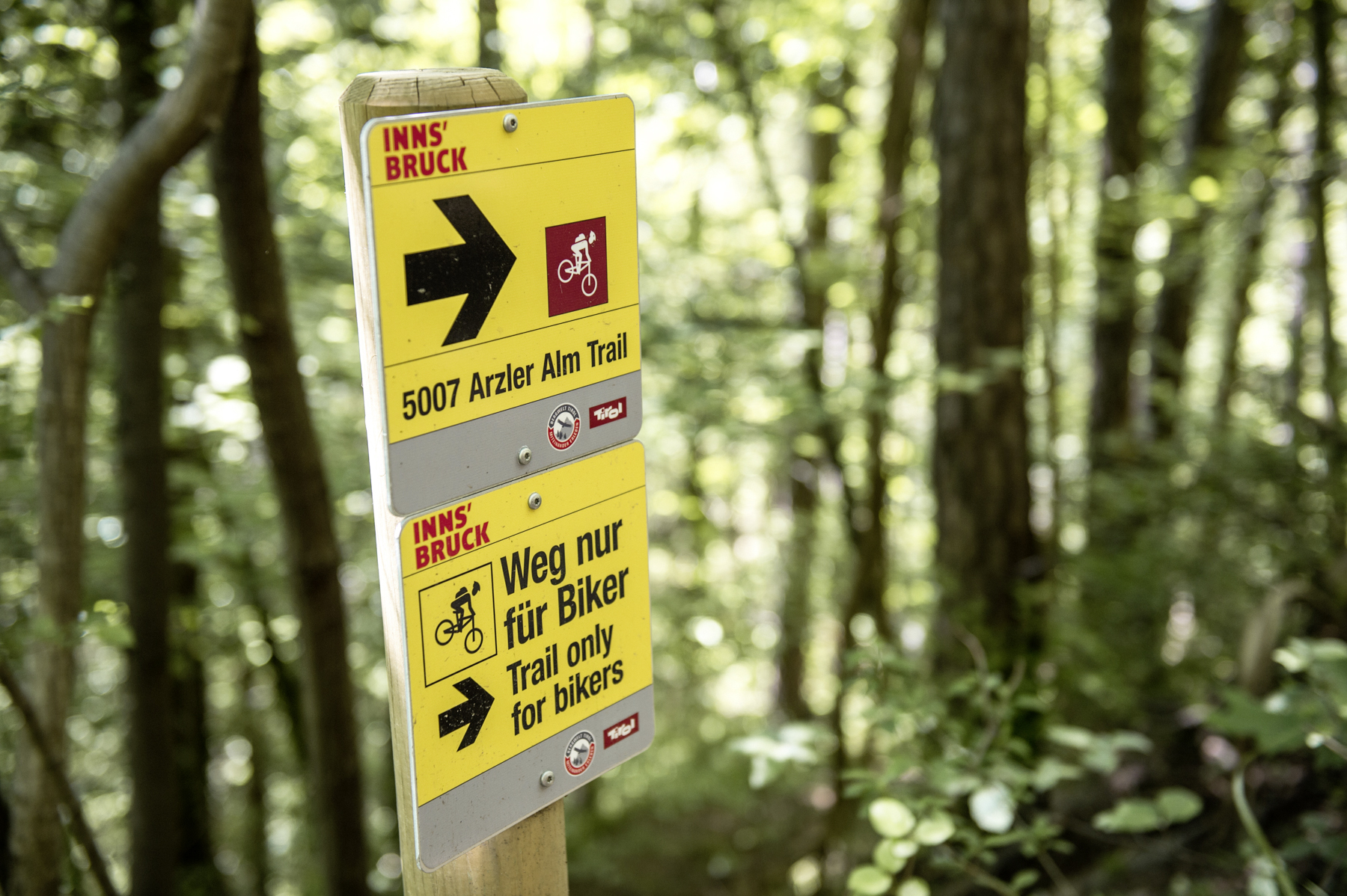 Arzler Alm Trail: Vier Kilometer Downhill-Spaß mit neuen "flowigen" Sprüngen steht für die Bike-Sportlerinnen wieder bereit.