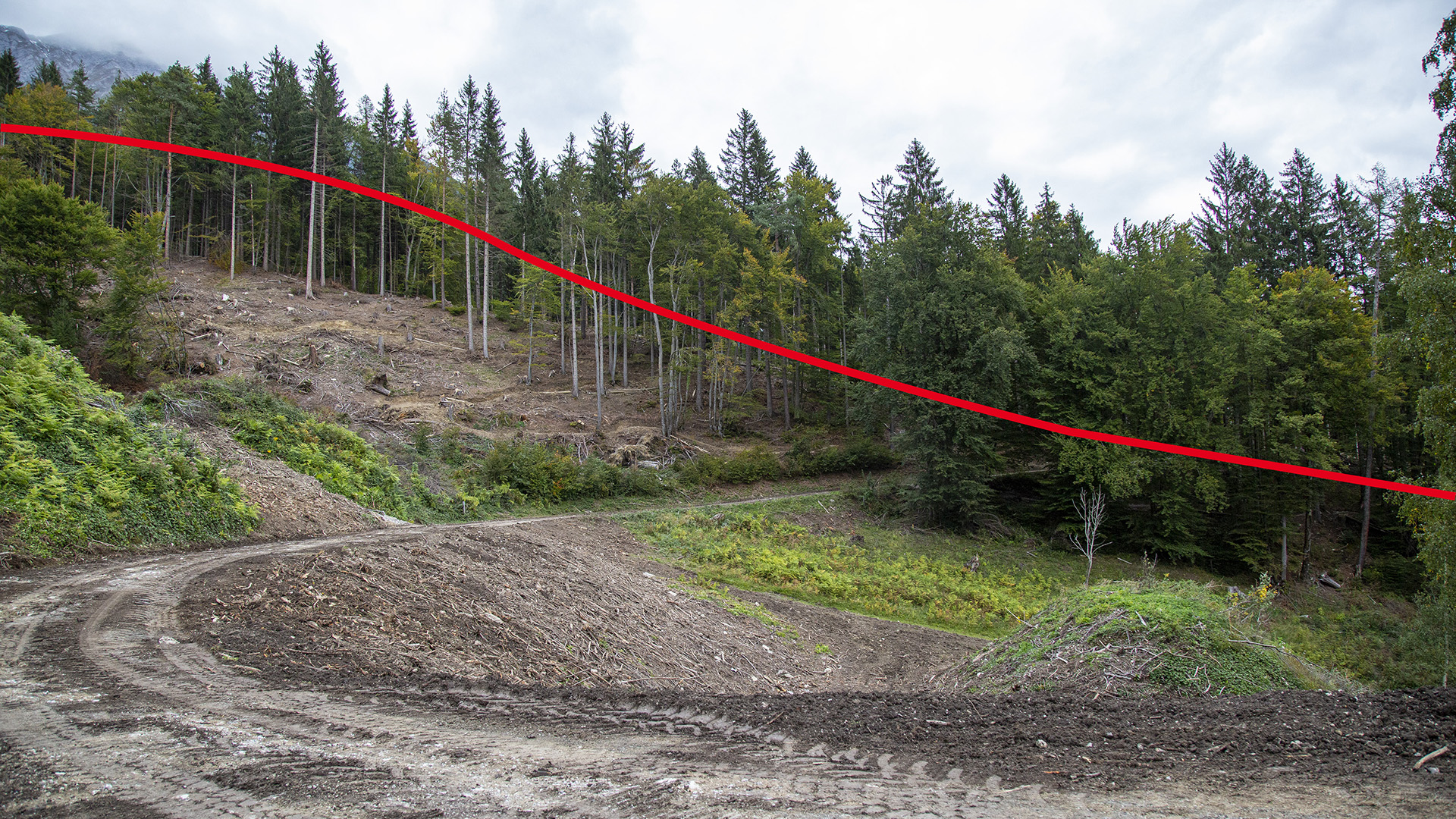 Bis zu 15 Meter hoch (rote Markierung) lag der Schnee am Ende der vier Lawinenausläufer auf der Nordkette.