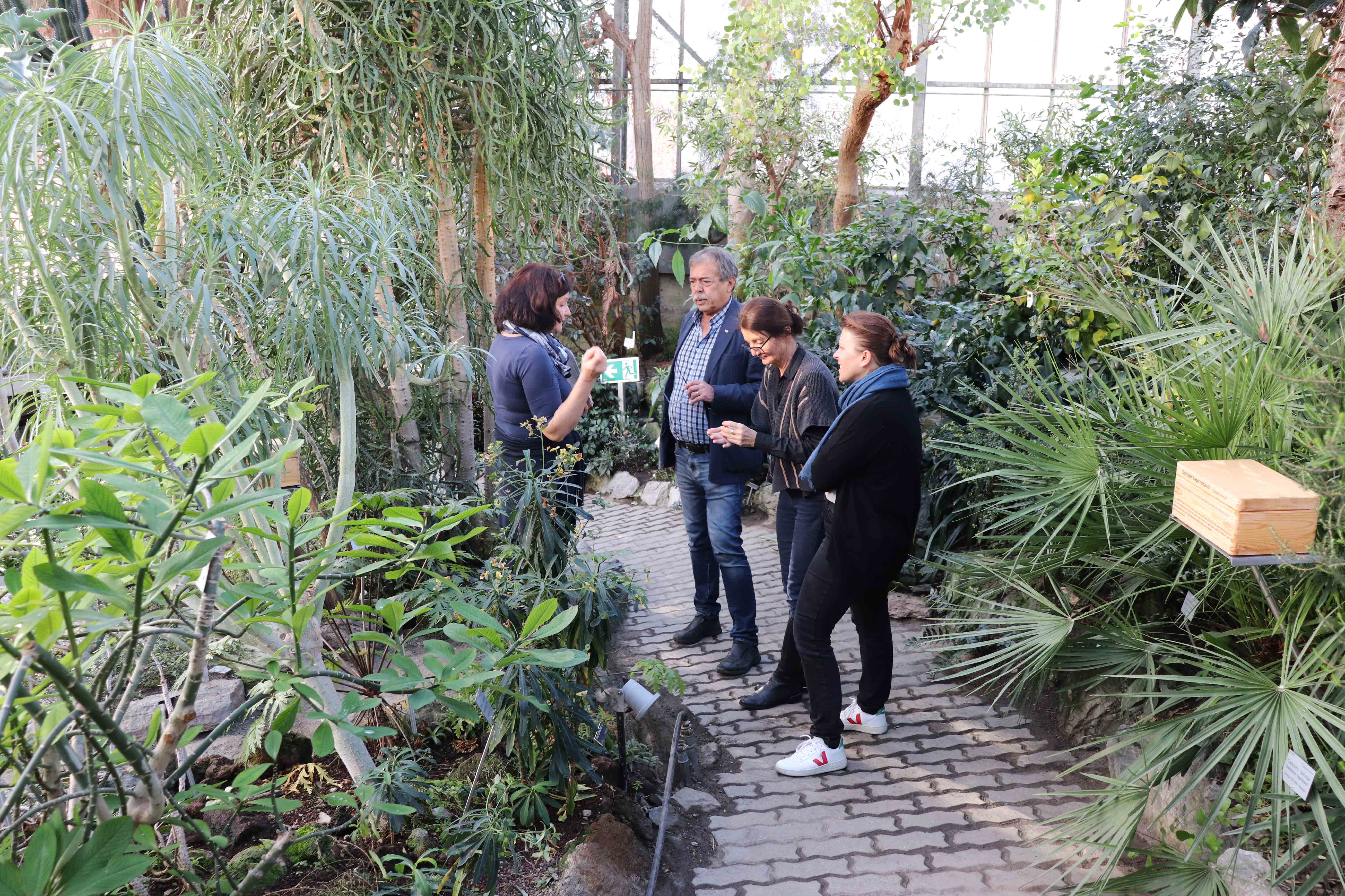 Unter dem Namen „Feuer und Flamme für den Regenwald - brandaktuell" veranstaltet das Institut für Botanik Workshops für Innsbrucker Schulklassen, in denen der Zusammenhang von Regenwald, Klima und Tirol im Fokus steht. Vizebürgermeisterin Uschi Schwarzl hat sich gemeinsam mit interessierten GemeinderätInnen sowie MitarbeiterInnen vom Referat für Verkehrs- und Umweltmanagement informiert und mit Workshop-Leiterin Sabine Sladky Meraner eine Tour durch den Botanischen Garten gemacht.
Der von der Stadt Innsbruck geförderte Workshop für Innsbrucker Schulklassen behandelt Fragen wie „Was kann ich hier in Tirol lokal zum Schutz des Regenwaldes und in Folge für unser Klima beitragen" und ist für alle Altersstufen geeignet.