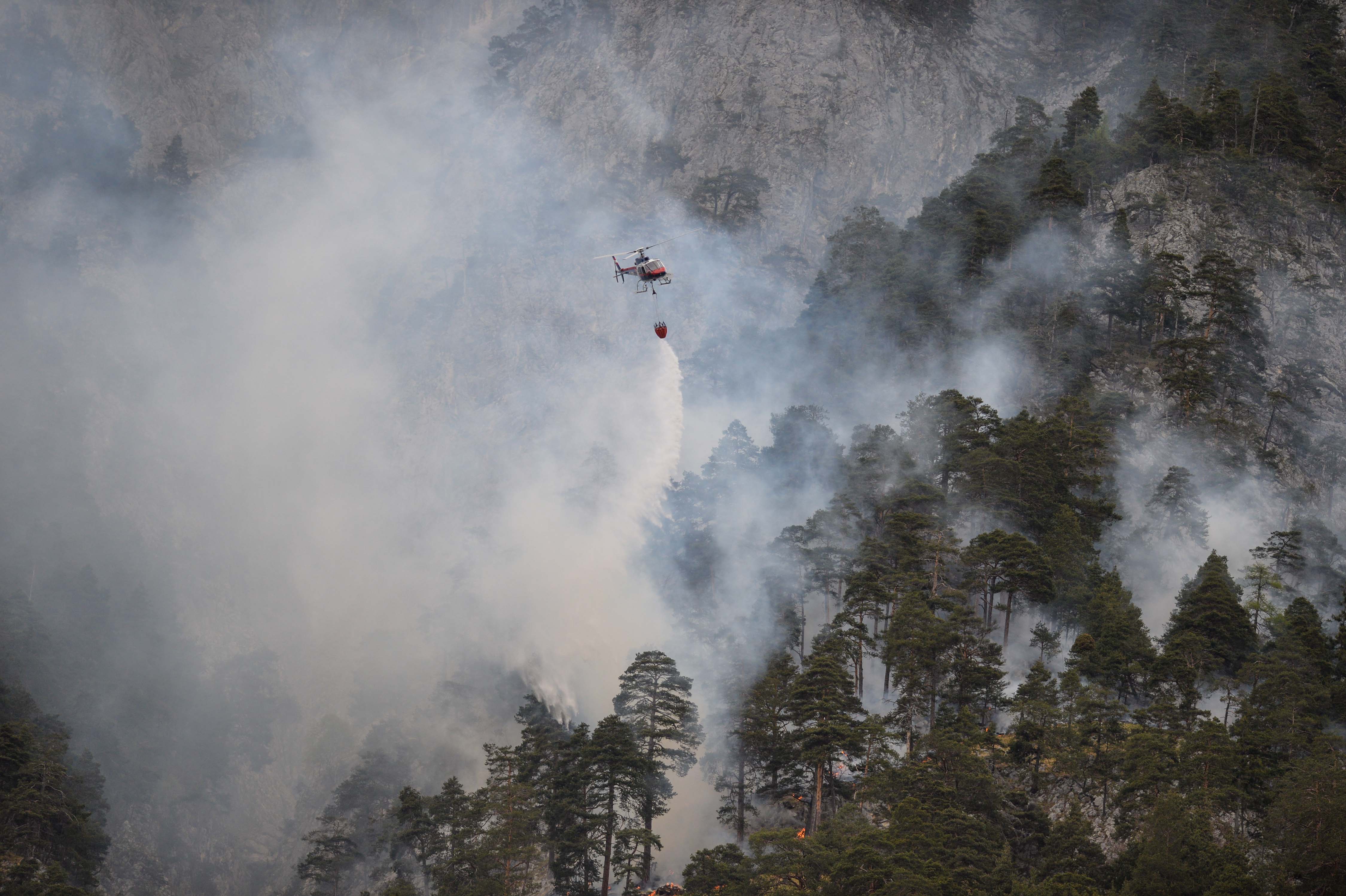 Waldbrände, wie hier im Sommer 2017, entwickeln sich meist aus einer kleinen Brandquelle wie einer weggeworfenen Zigarette.