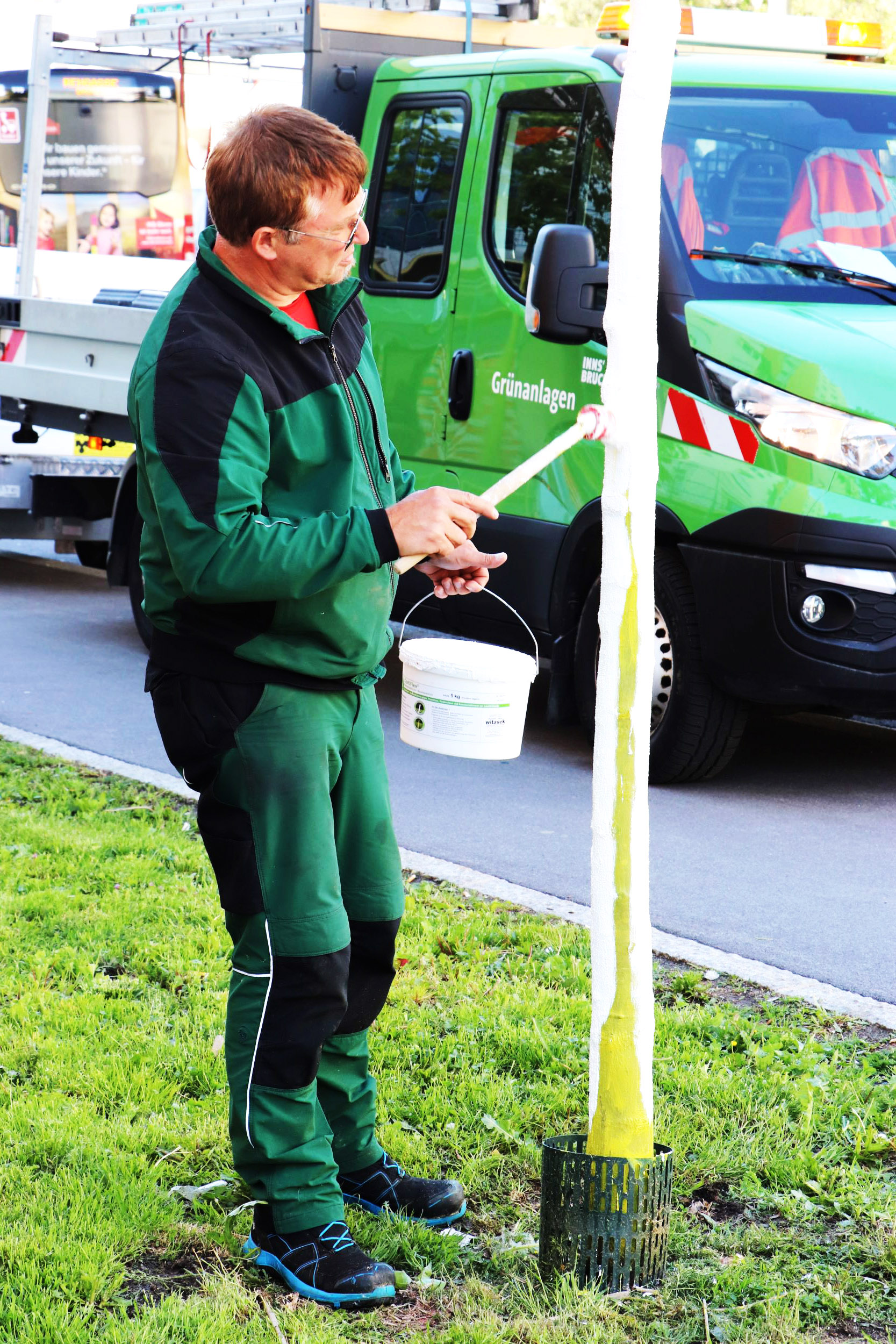 Ein Pflaster aus Farbe schützt die Stämme der jungen Bäume vor Rindenschäden durch Sonne und Frost.