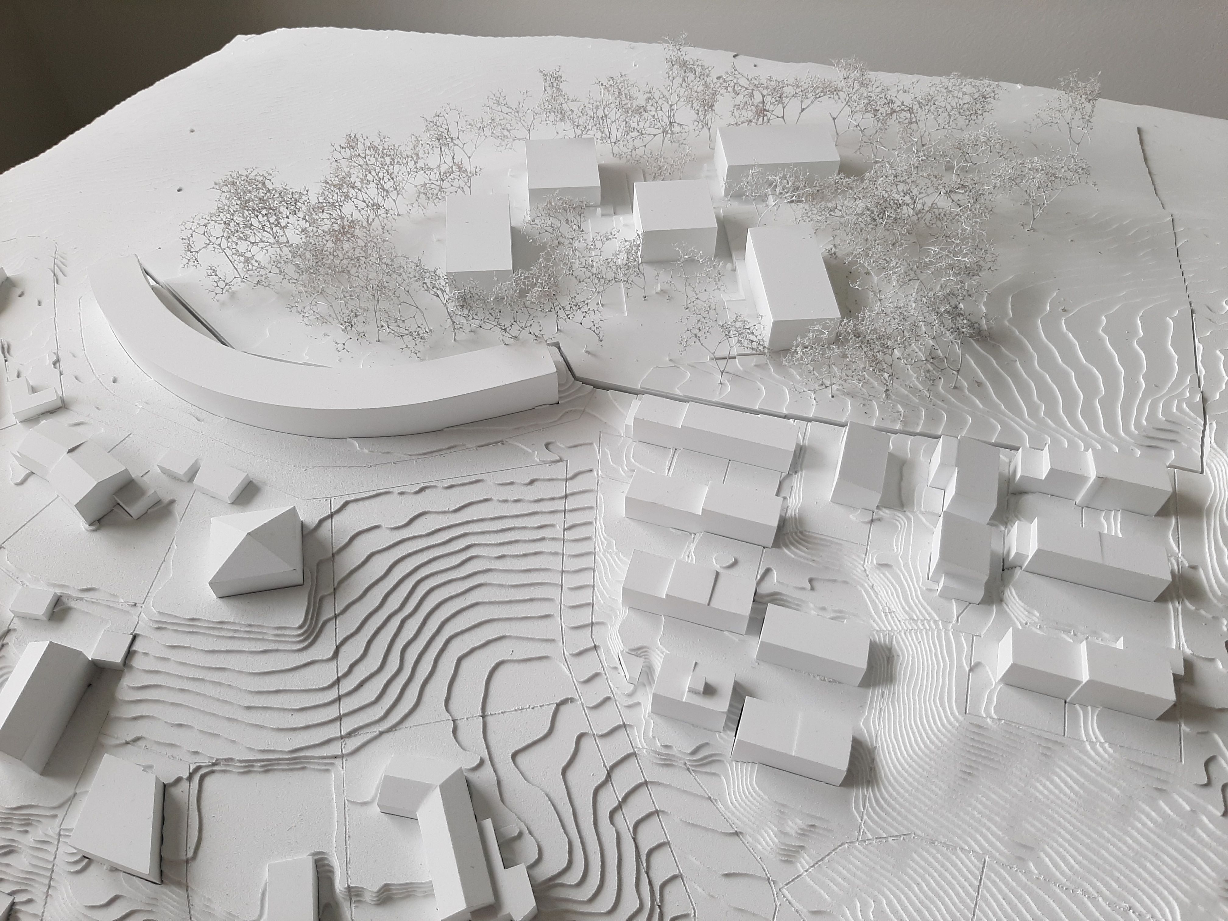 Die neue Wohnanlage besteht aus fünf Gebäuden, die von einem Waldsaum umgeben sind.