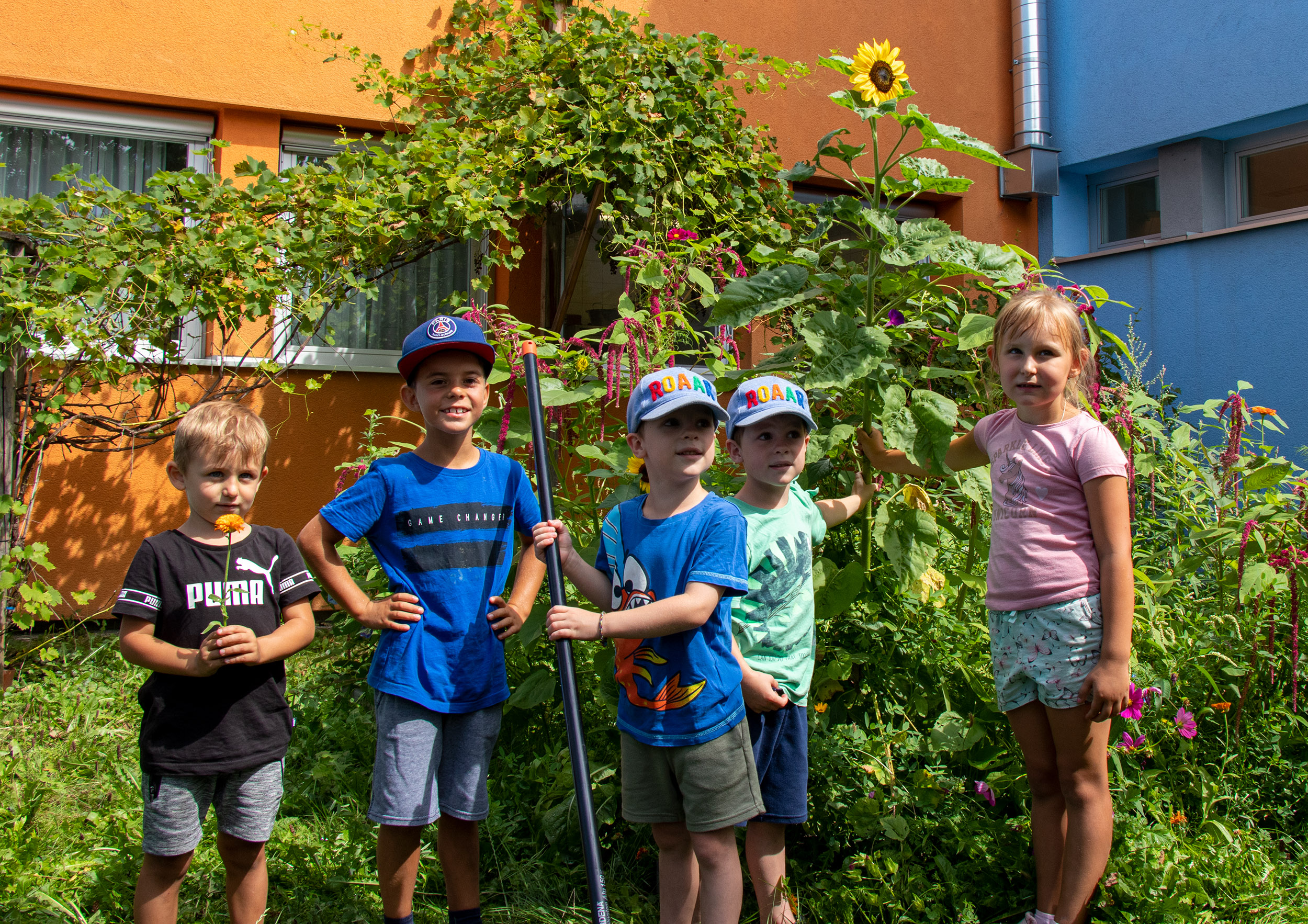 Große Freude am Garteln zeigten die Buben und Mädchen in der Sommerbetreuung im Kindergarten Walderkammweg.
