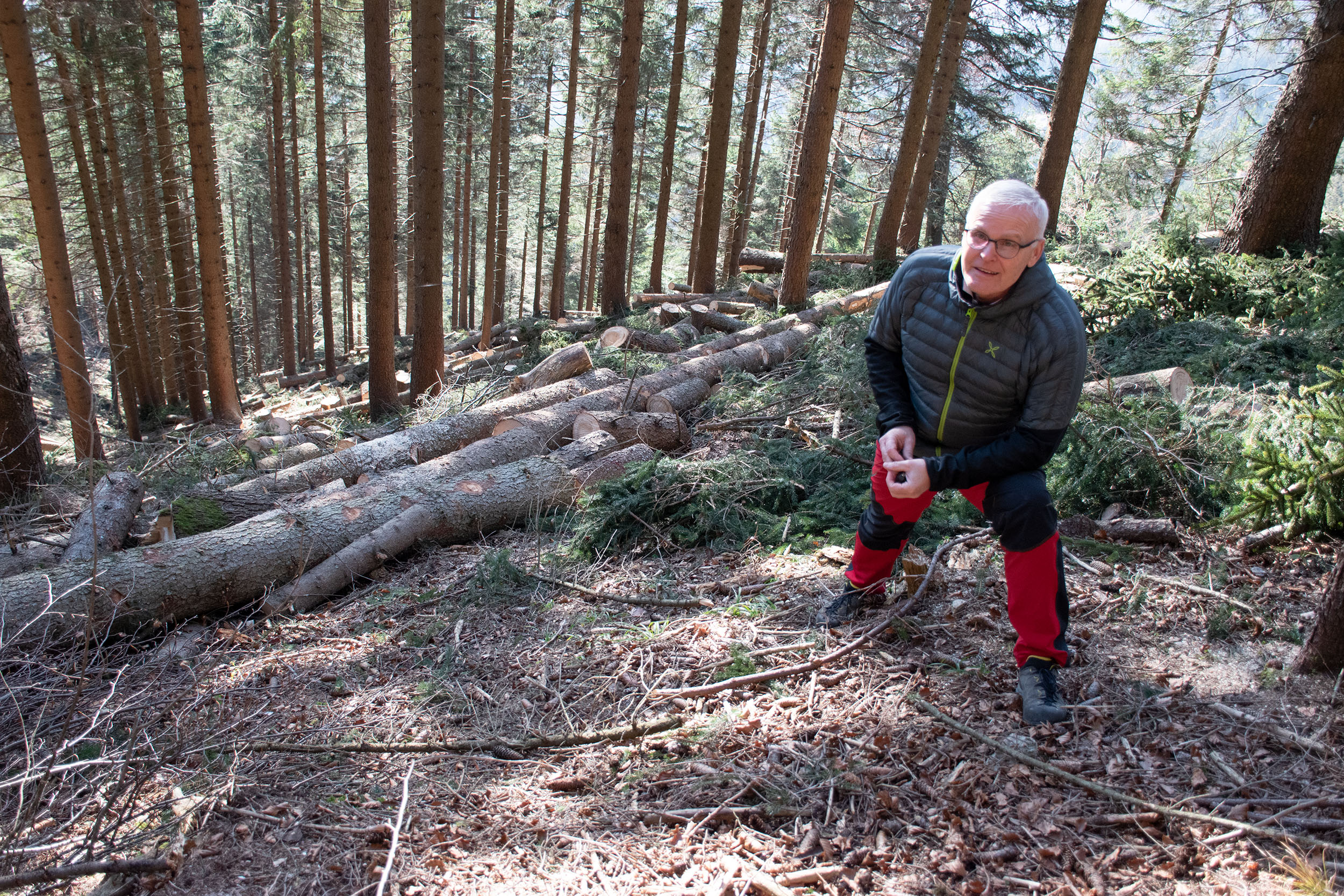 Waldaufseher Wolfgang Huber im steilen Gelände unterhalb der Höttinger Alm, wo die Arbeiten bereits laufen. Damit der Abtransport des Holzes reibungslos und sicher läuft, muss die Forststraße gesperrt werden.