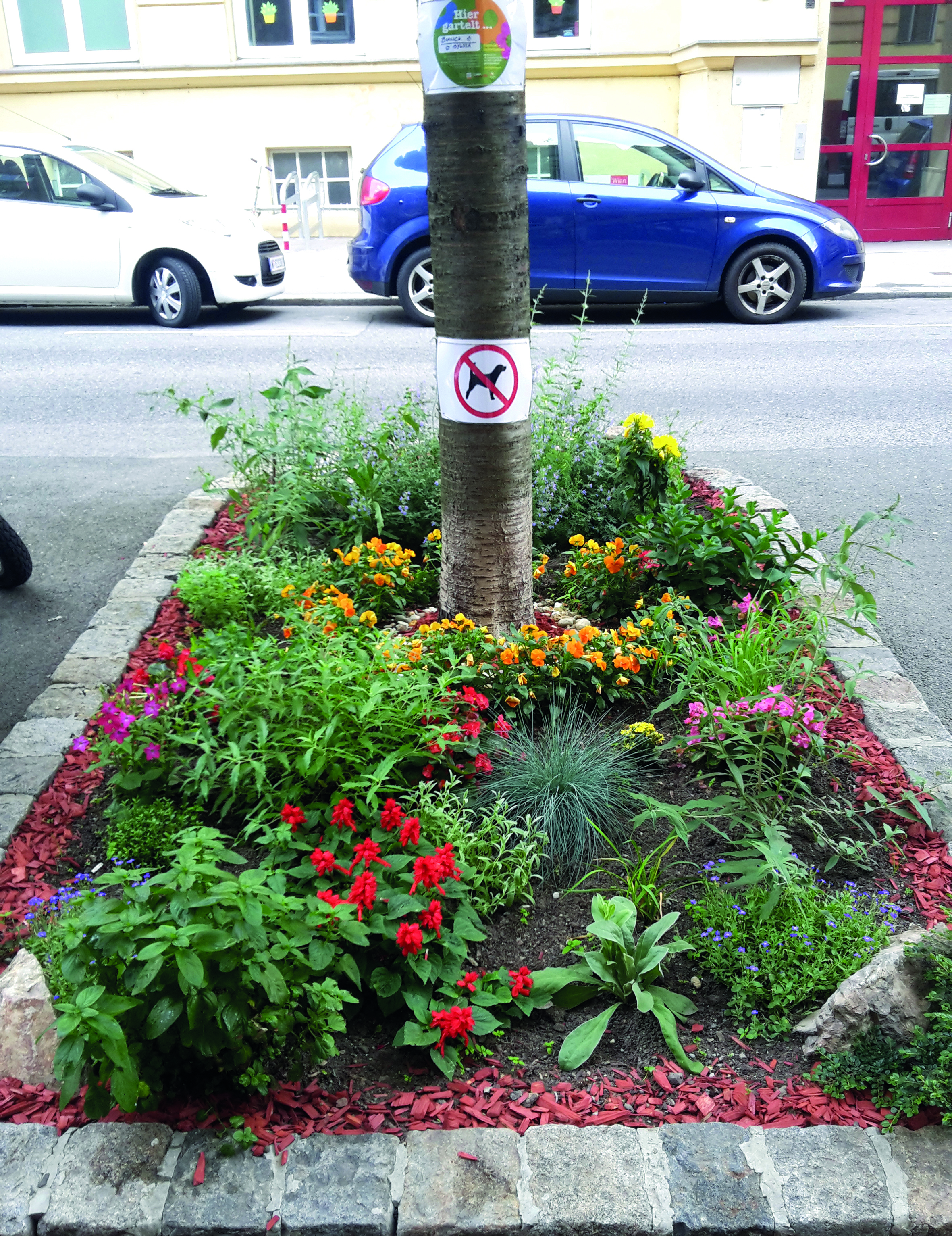 In Wien existiert die Aktion bereits seit drei Jahren und stößt auf reges Interesse bei den BewohnerInnen.