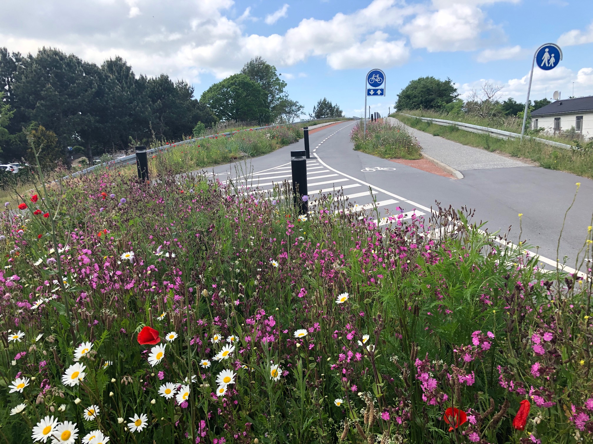 Die „Naturbroen“ (Naturbrücke) ist eine Autobahn-Brücke, die nun zu einer Fahrradbrücke umgewandelt wurde. Der Radweg führt in ein Erholungsgebiet, zahlreiche Wildblumen schmücken den Weg.
