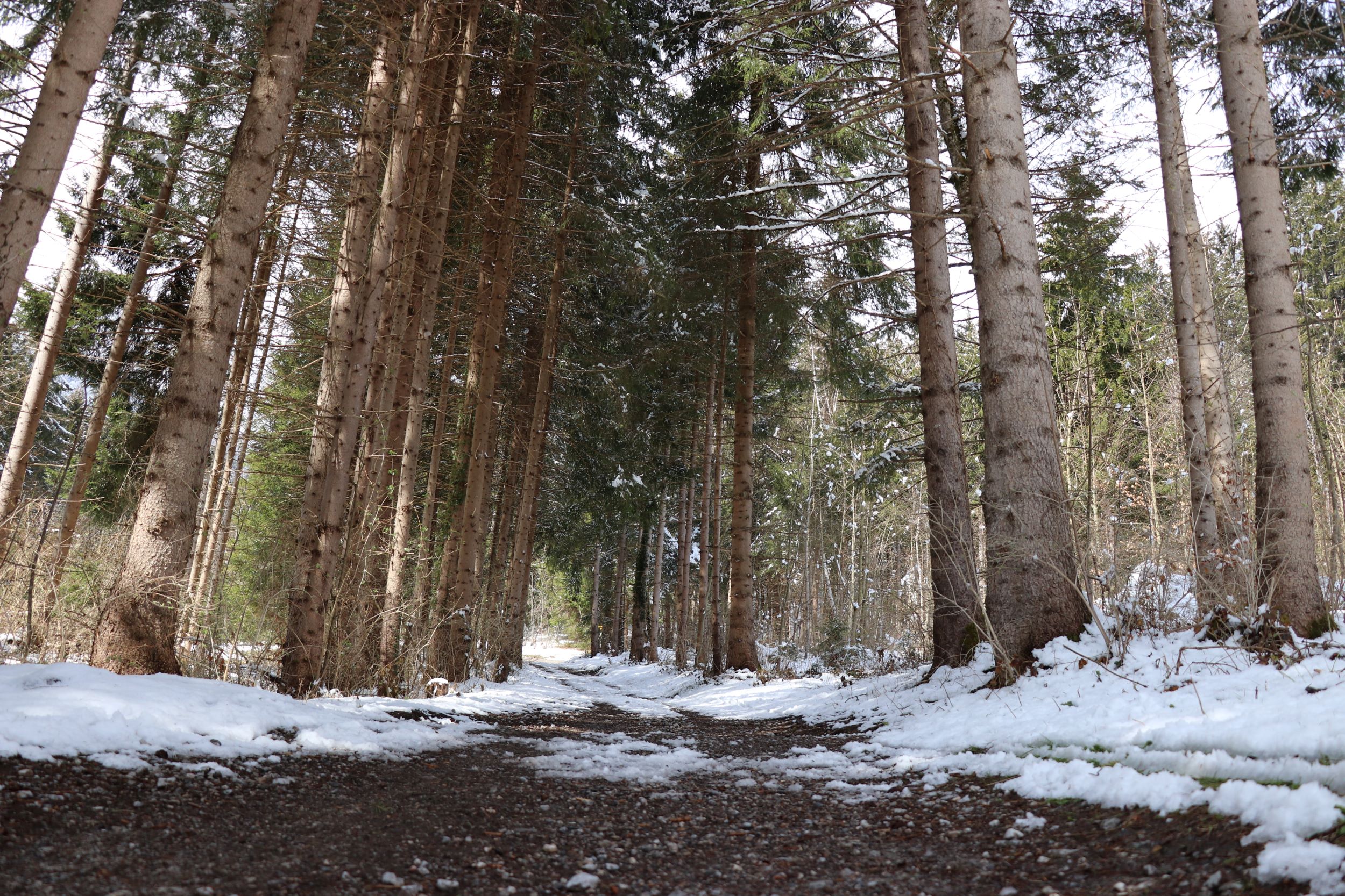 Die Wege auf der Nordkette werden stark genutzt.