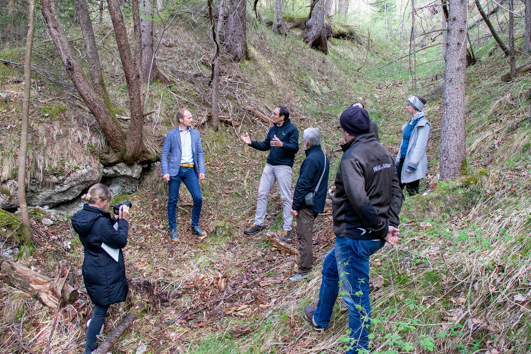 Die Naturwaldzelle in Mühlau wurde bei einem Pressegespräch vorgestellt.