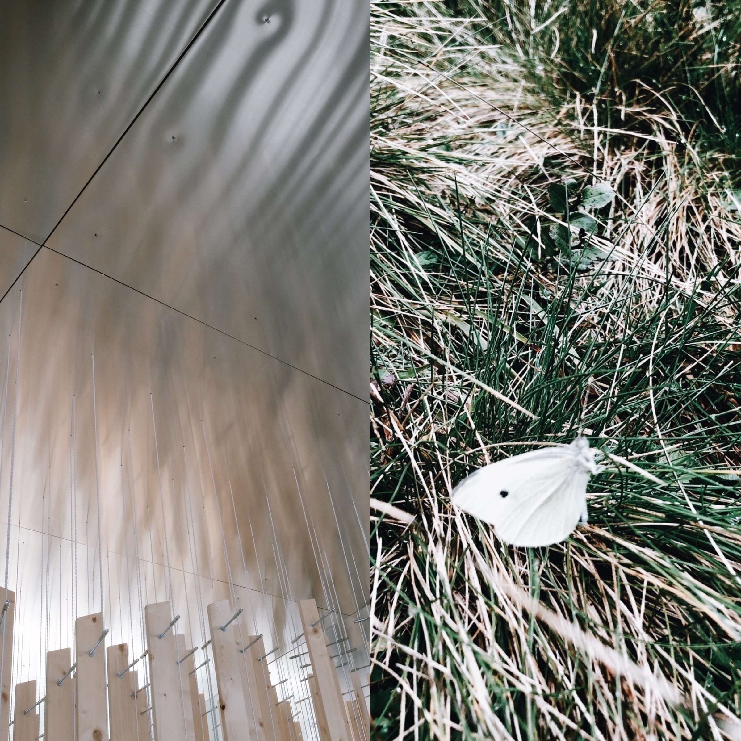 Am 9. November findet der abschließende Kulturstrategie-Workshop statt, in dem Ideen gemeinsam konkretisiert und Details zur Umsetzung geklärt werden.