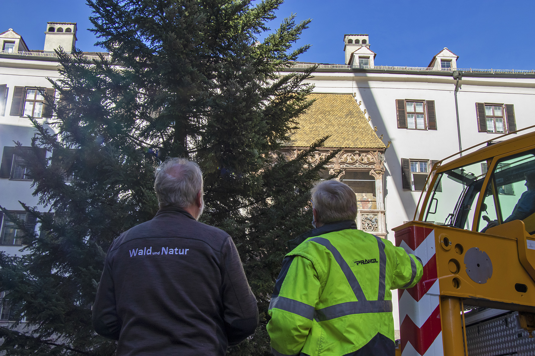 Das Aufstellen des Christbaumes durch das Amt für Wald und Natur läutet traditionell die Christkindlmarktzeit in der Innsbrucker Altstadt ein. Heuer findet der Event am 3. November um 13.00 Uhr statt.