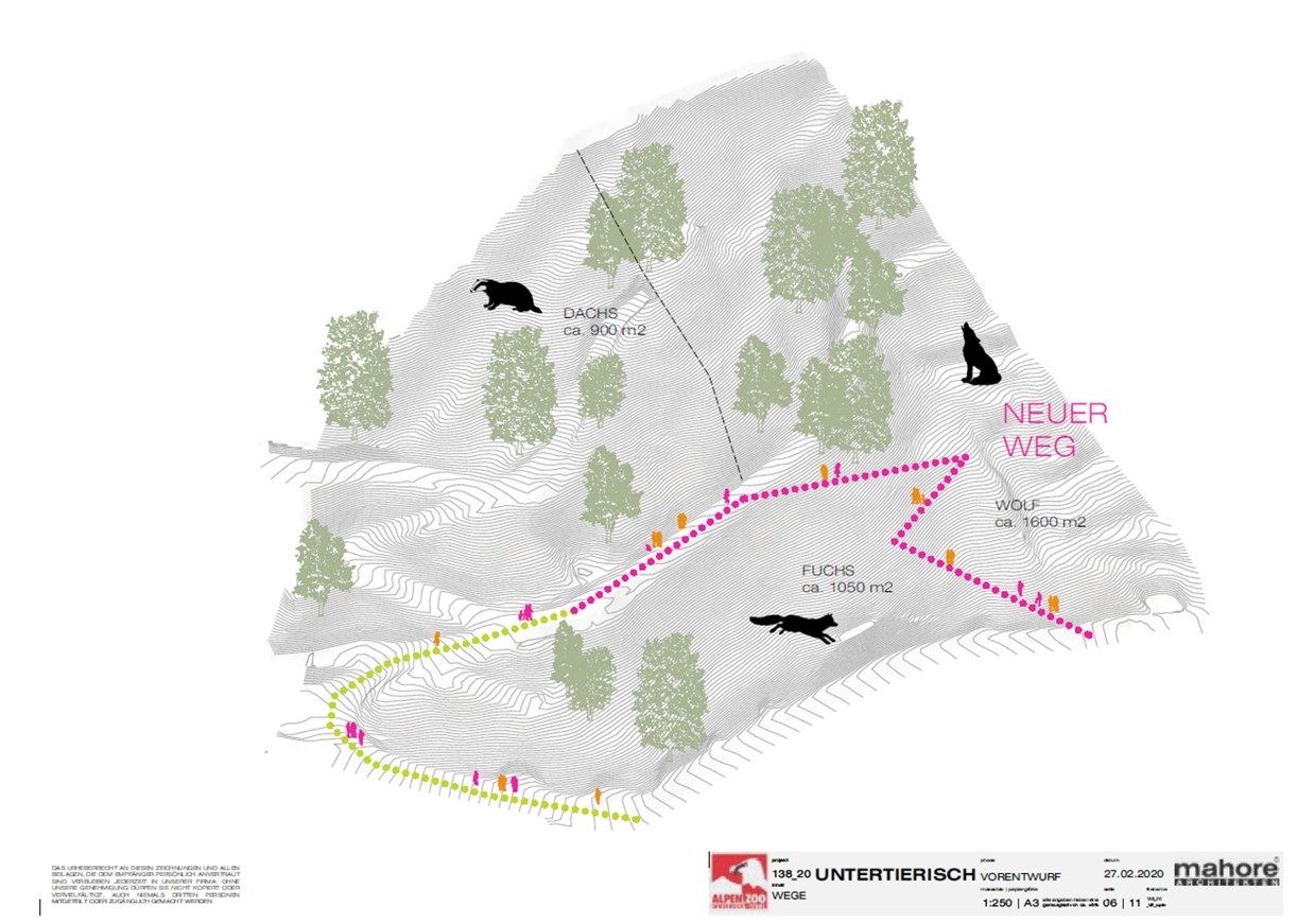 Manche BesucherInnen können sich vielleicht noch daran erinnern, dass es vor langer Zeit schon einmal Dachs und Fuchs im Alpenzoo gab. Diese beiden Tiere wird der Alpenzoo heuer, in seinem 60. Geburtstagsjahr, wieder zurückbringen und das besser denn je. Mitte Jänner wurde der Spatenstich im Beisein von Vizebürgermeister Johannes Anzengruber, Stadträtin Christine Oppitz-Plörer, Obmann der Zoofreunde Christoph Kaufmann als auch Alpenzoopräsident Herwig van Staa für die neuen Dachs- und Fuchsgehege gesetzt. Das neue tierische Highlight entsteht an der höchsten Stelle im Zoo – neben den Steinböcken – und wird noch in diesem Jahr fertiggestellt.