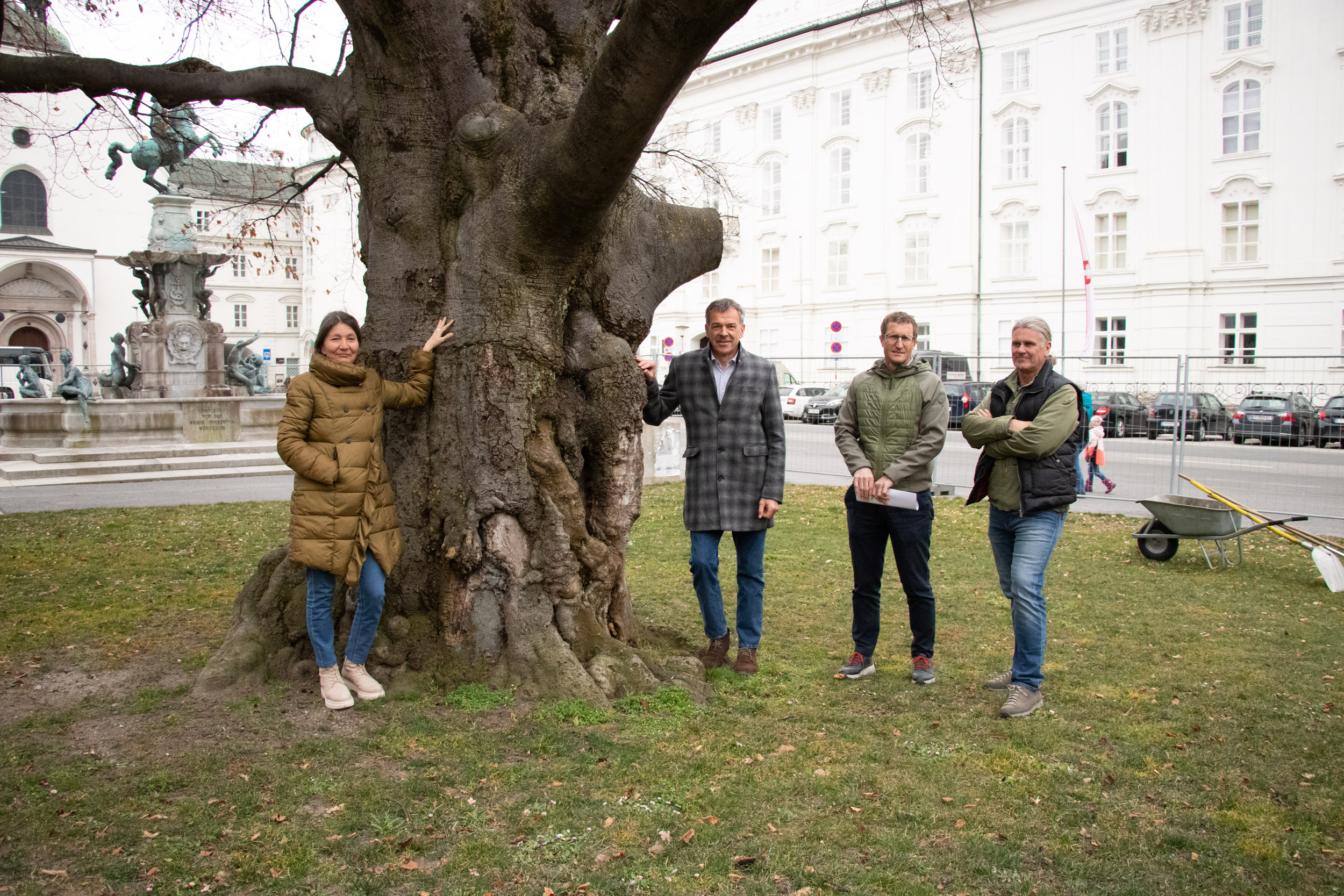 Stadträtin Uschi Schwarzl, Bürgermeister Georg Willi, Thomas Klingler und Stefan Engele vom Amt für Grünanlagen (v.l.n.r.) beim Lokalaugenschein vor der Blutbuche.