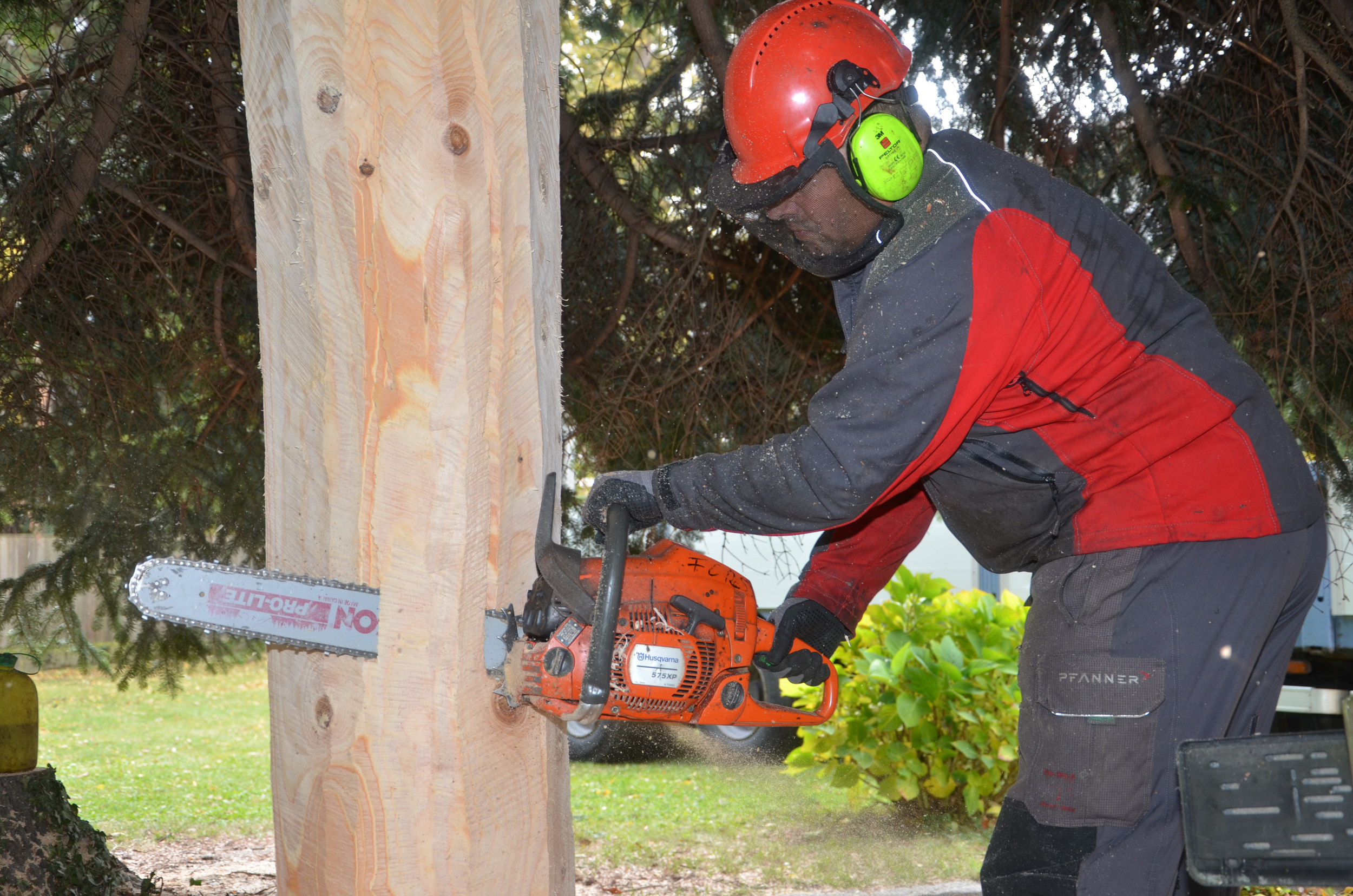 Damit der Christbaum in die Bodenverankerung vor dem Goldenen Dachl passt, muss er erst noch zugeschnitten werden. Dies erfordert einen geschickten und geübten Umgang mit der Motorsäge, was aber für Christian kein Problem darstellt.