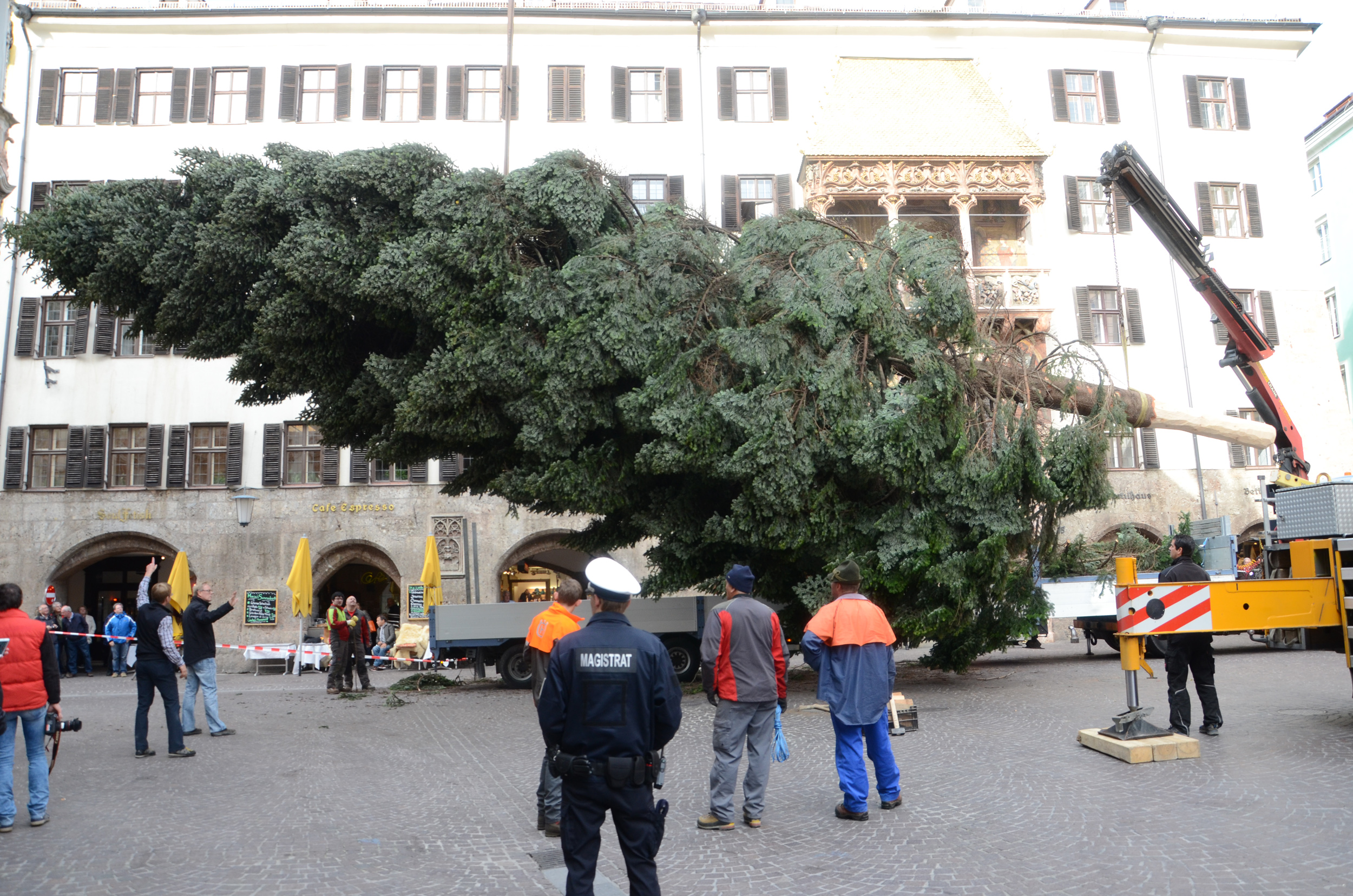 Das Aufstellen beginnt...