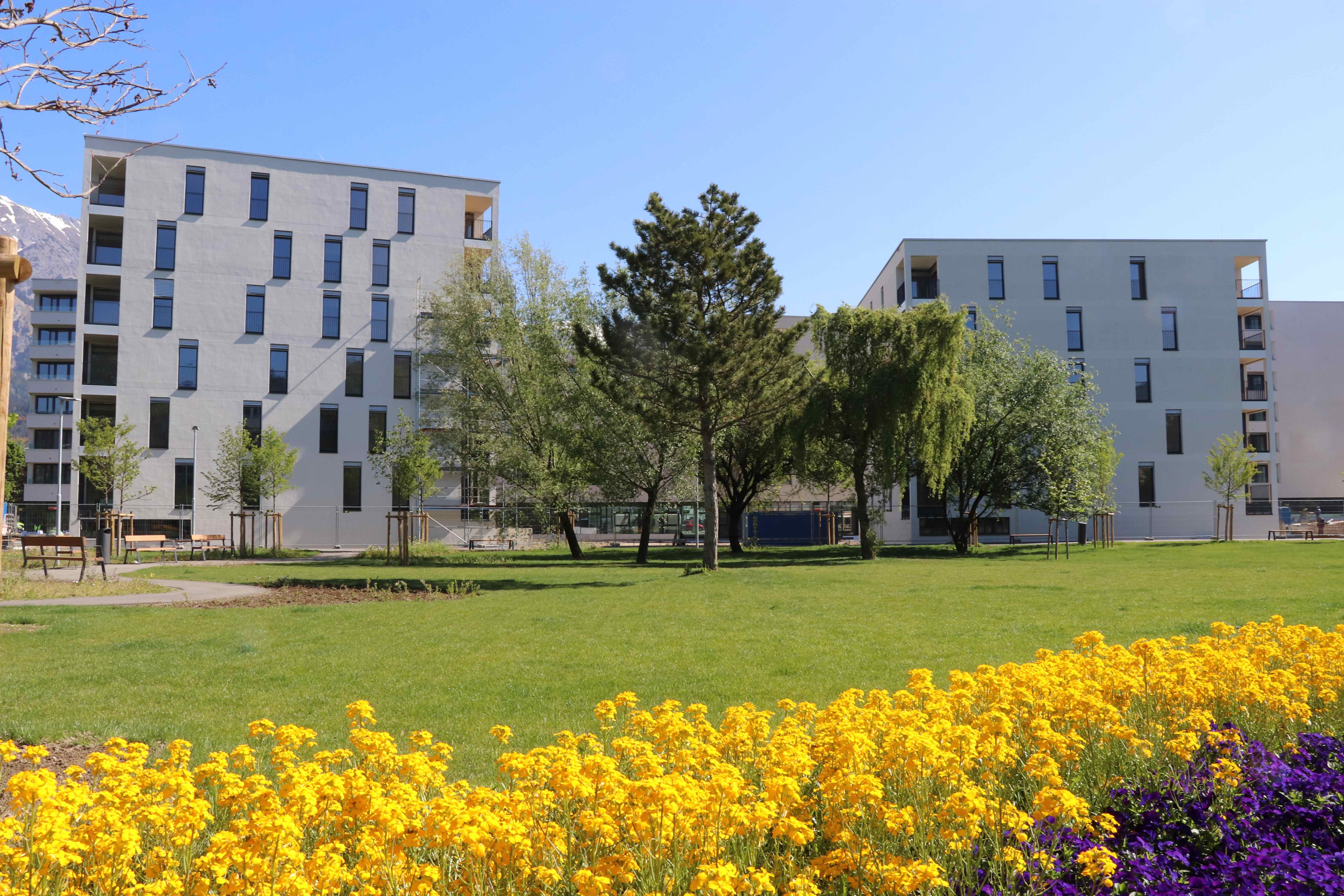 Auftakt zum breit aufgesetzten Prozess zur Änderung der Vormerk- und Vergaberichtlinien.