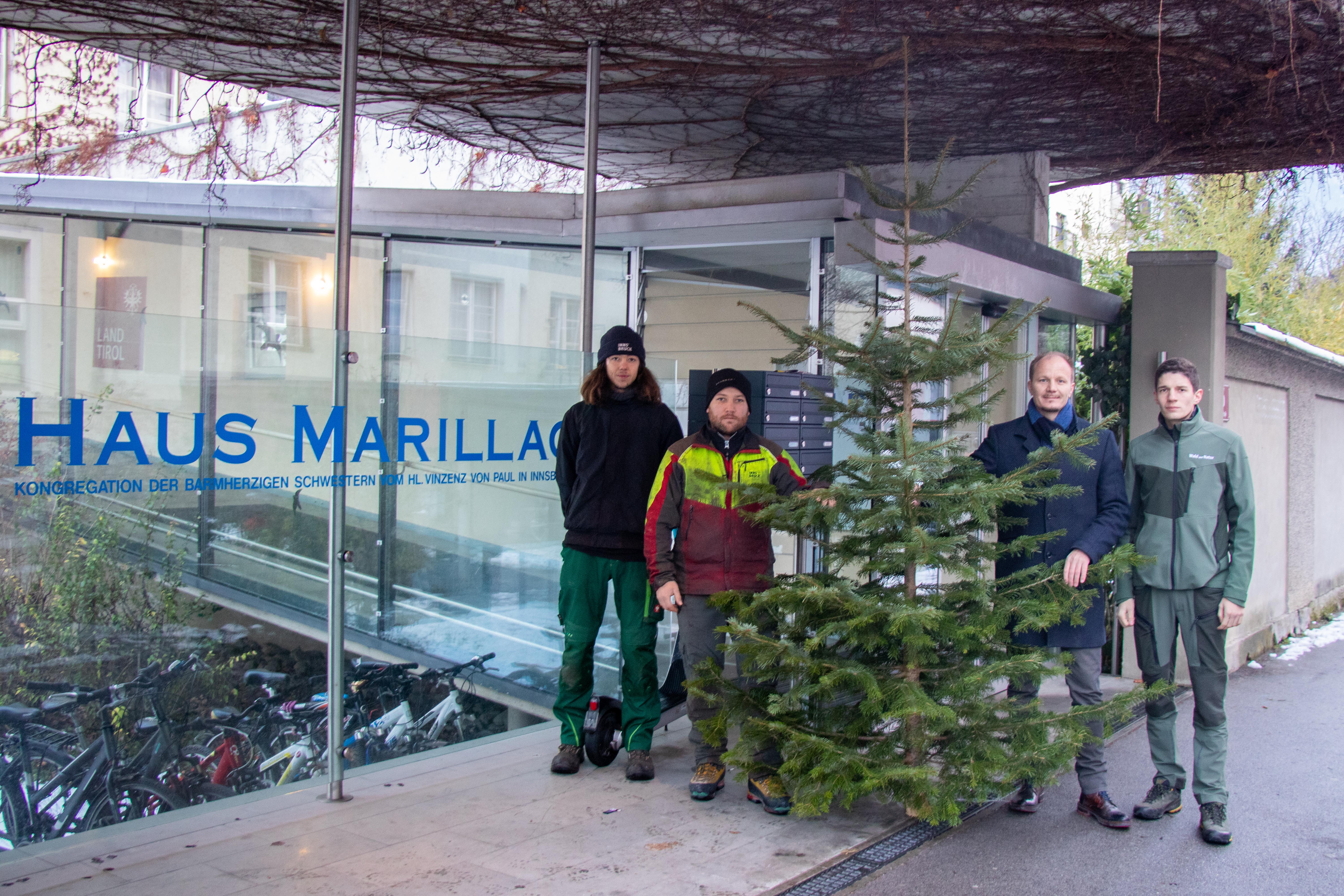 Vizebürgermeister Johannes Anzengruber (3. v. l.) und Florian Jäger (2. v. r.), Referatsleiter für Wald und Almen, sowie die beiden Mitarbeiter Andreas Leismüller (l.) und  Robin Mantlez (r.) (beide Amt für Wald und Natur) überbrachten dem Sozialkontakt am Haydnplatz der Innsbrucker Soziale Dienste und der derzeitigen Flüchtlingsunterkunft im Haus Marillac der Barmherzigen Schwestern jeweils einen großen Christbaum für das anstehende Weihnachtsfest.