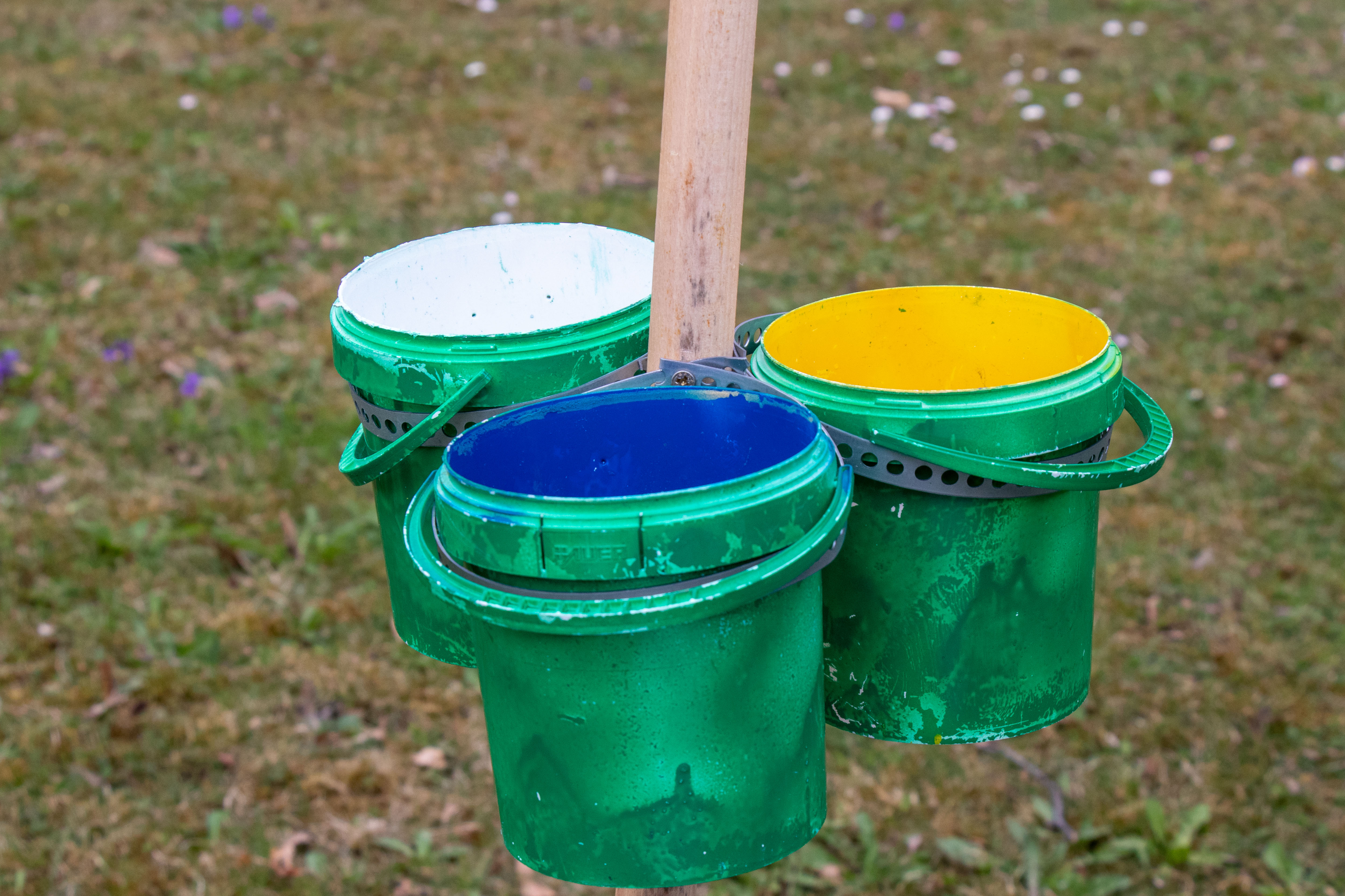 An 16 Standorten stehen Farbschalen, in denen Wildbienen zur Erforschung gesammelt werden.