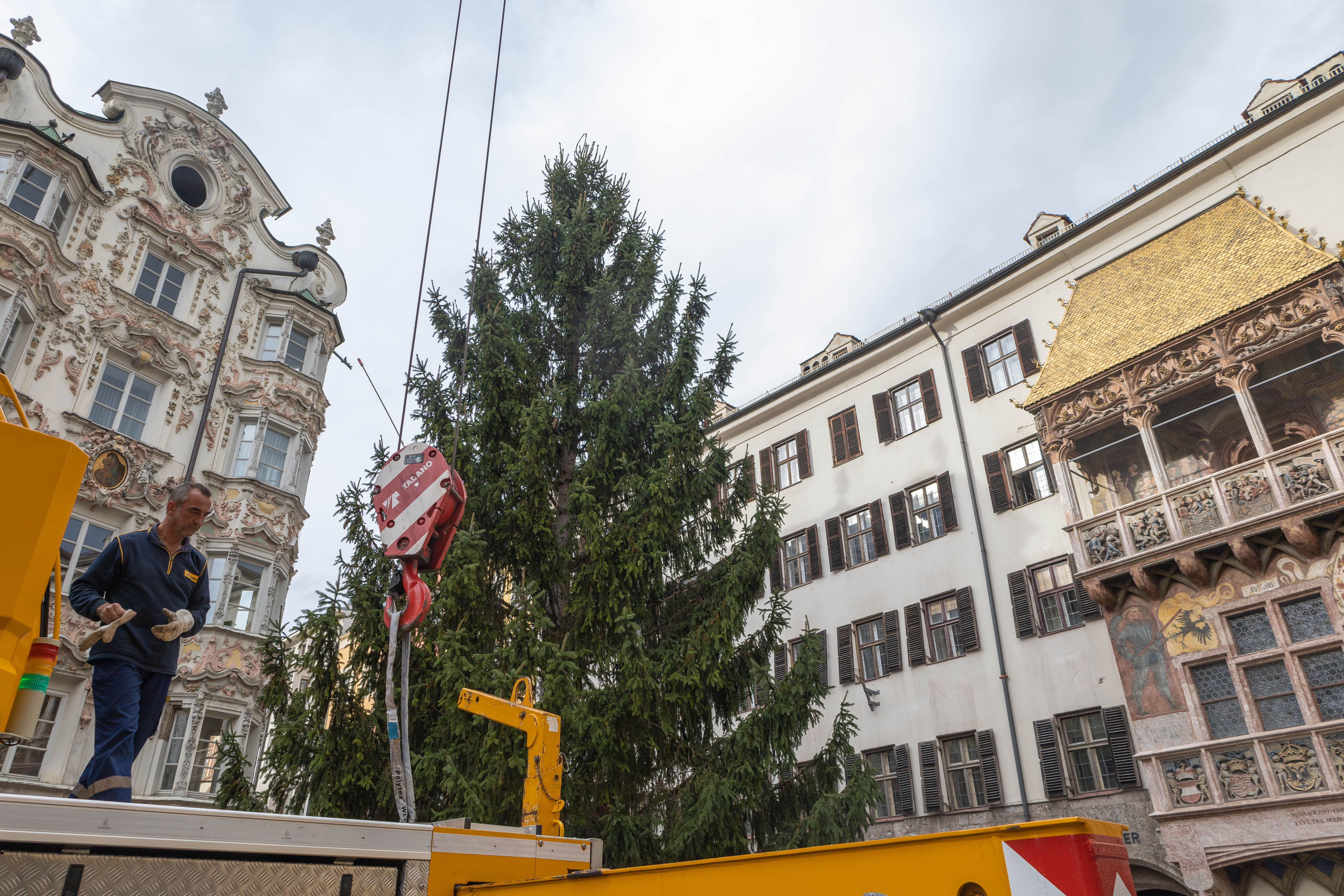 Gewohnte Präzisionsarbeit: Städtische Mitarbeiter platzierten den Christbaum millimetergenau an seinem Standort in der Altstadt.