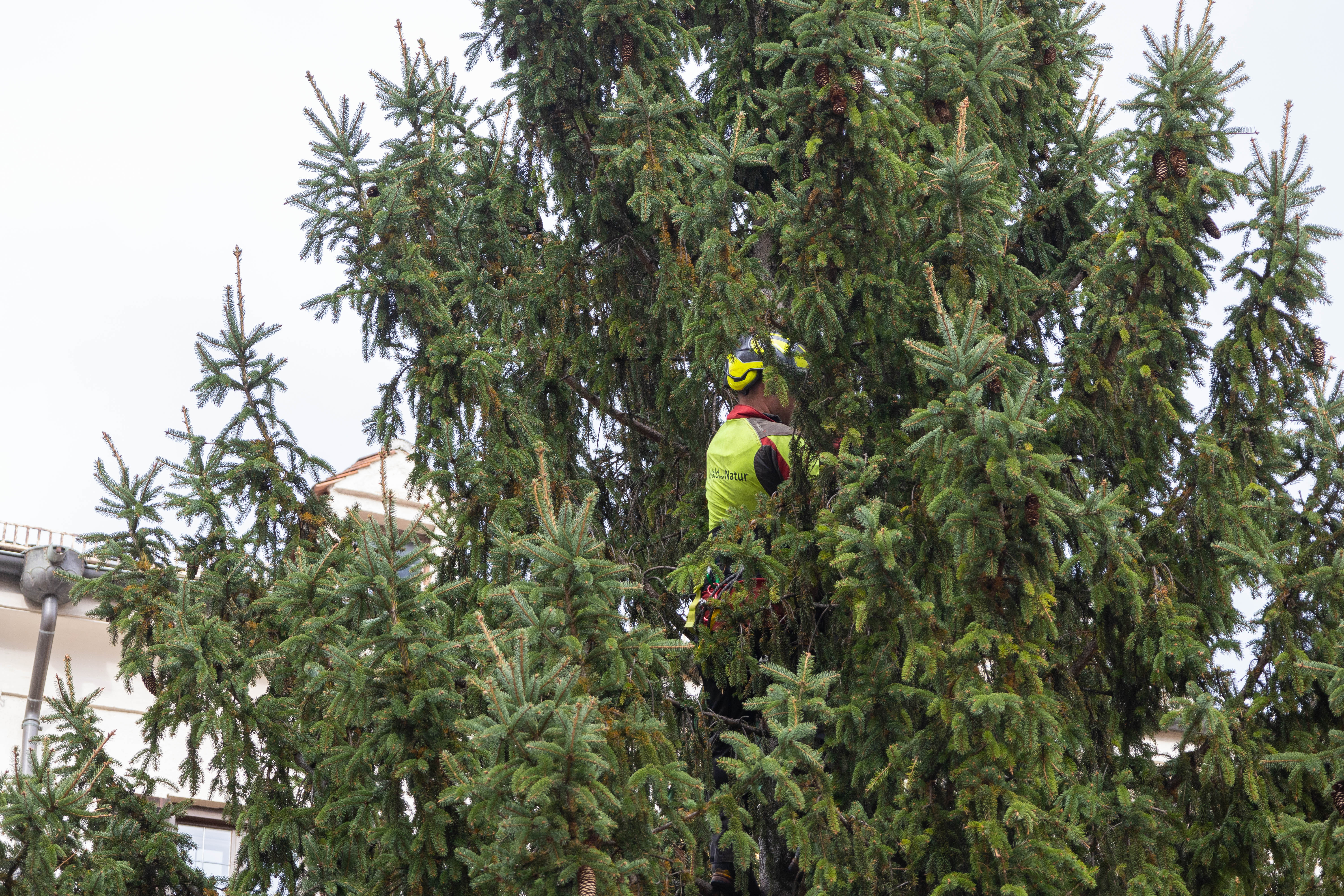 Hoch hinaus für die finalen Feinheiten.