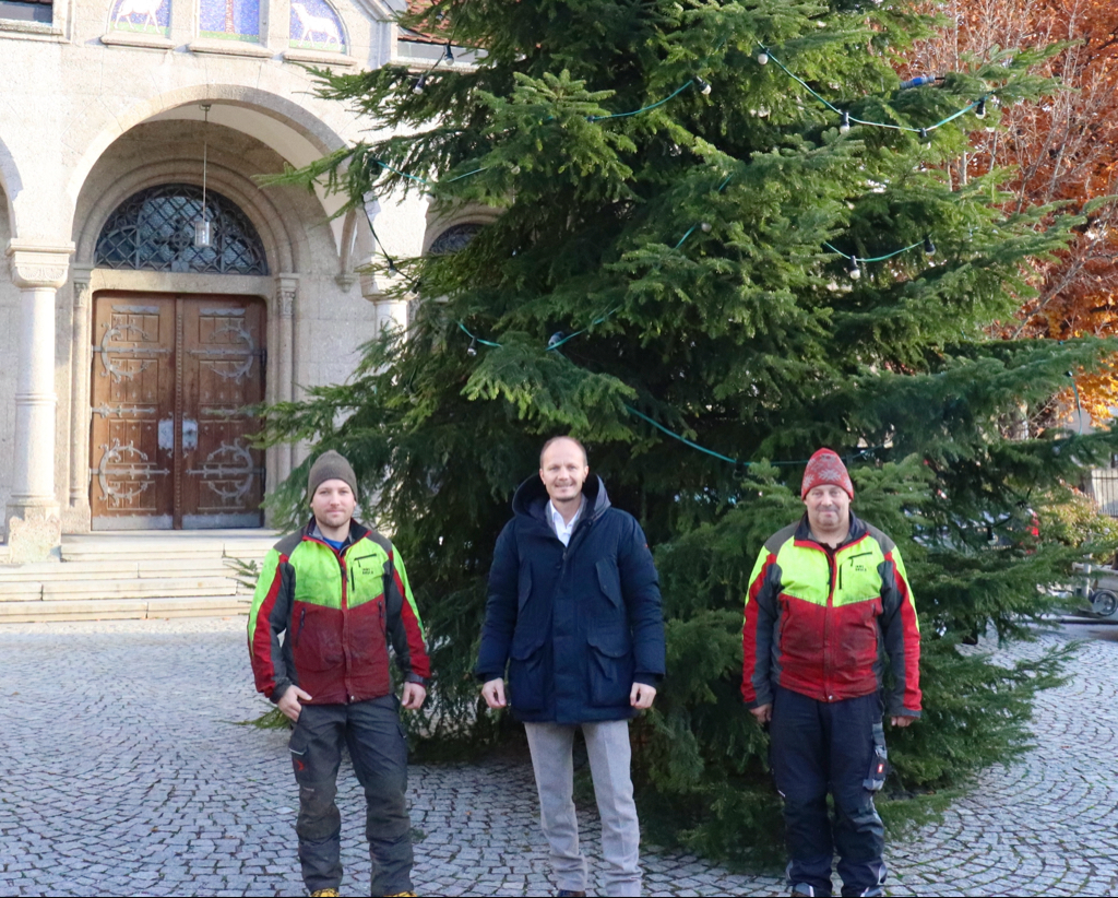 Vizebürgermeister Johannes Anzengruber freut sich mit den städtischen Mitarbeitern des Amtes für Wald und Natur über mehr als 270 aufgestellte Christbäume in Innsbruck. © Büro Vizebürgermeister Anzengruber