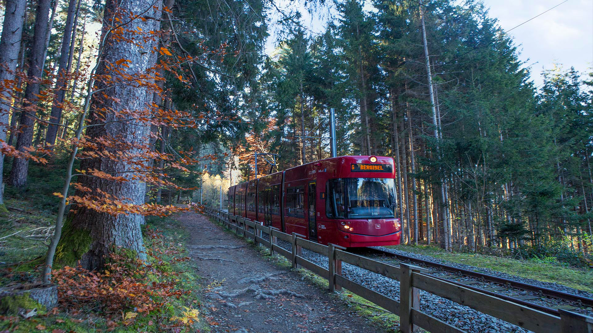 Die "Waldstraßenbahn" ist wieder auf Schiene.