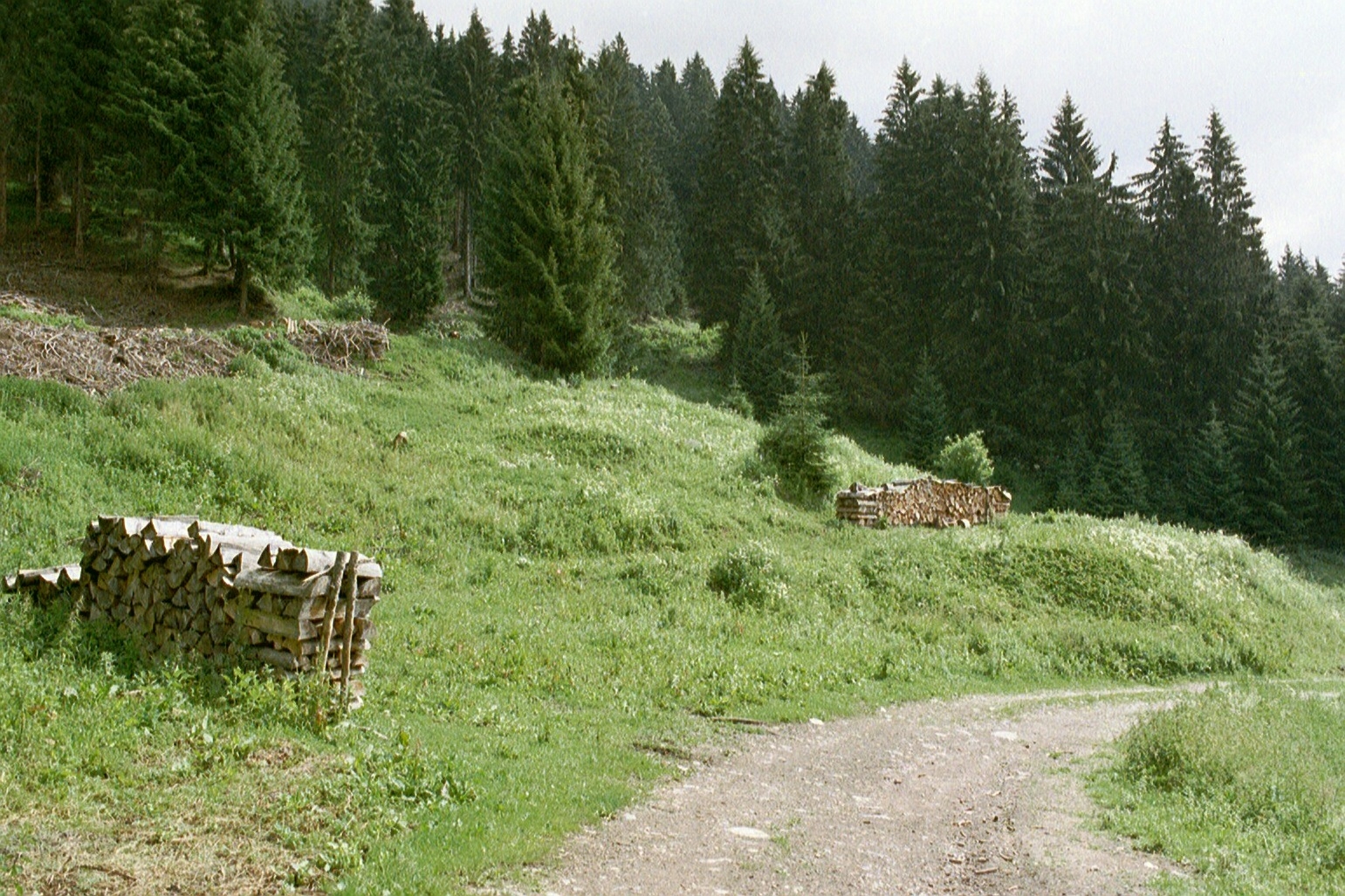 Ursprünglicher Standort der Umbrüggler Alm, 2003