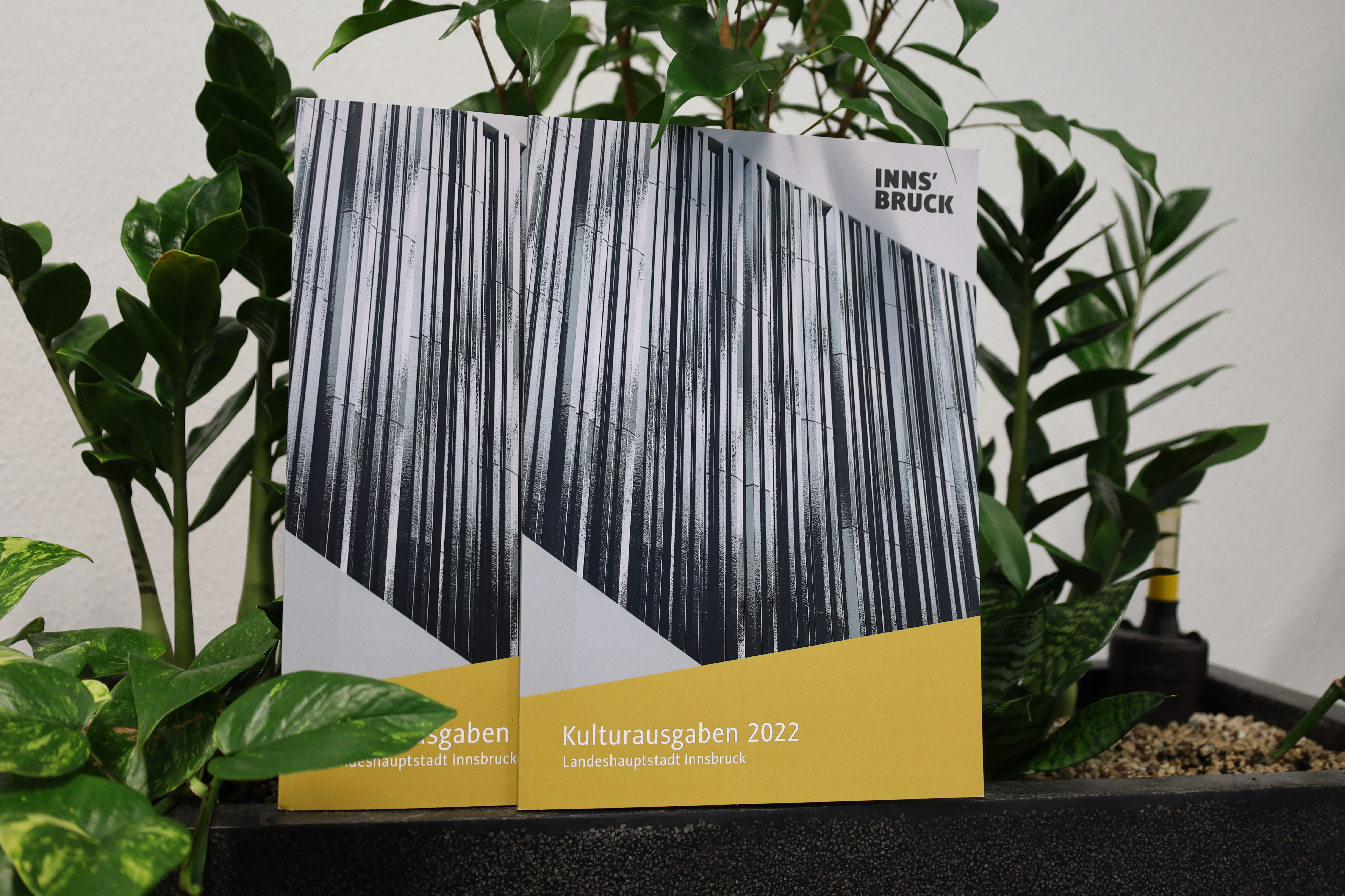 Schwerpunkt Kultur: Der vorliegende Bericht legt die Ausgaben für Innsbruck in diesem Bereich offen.