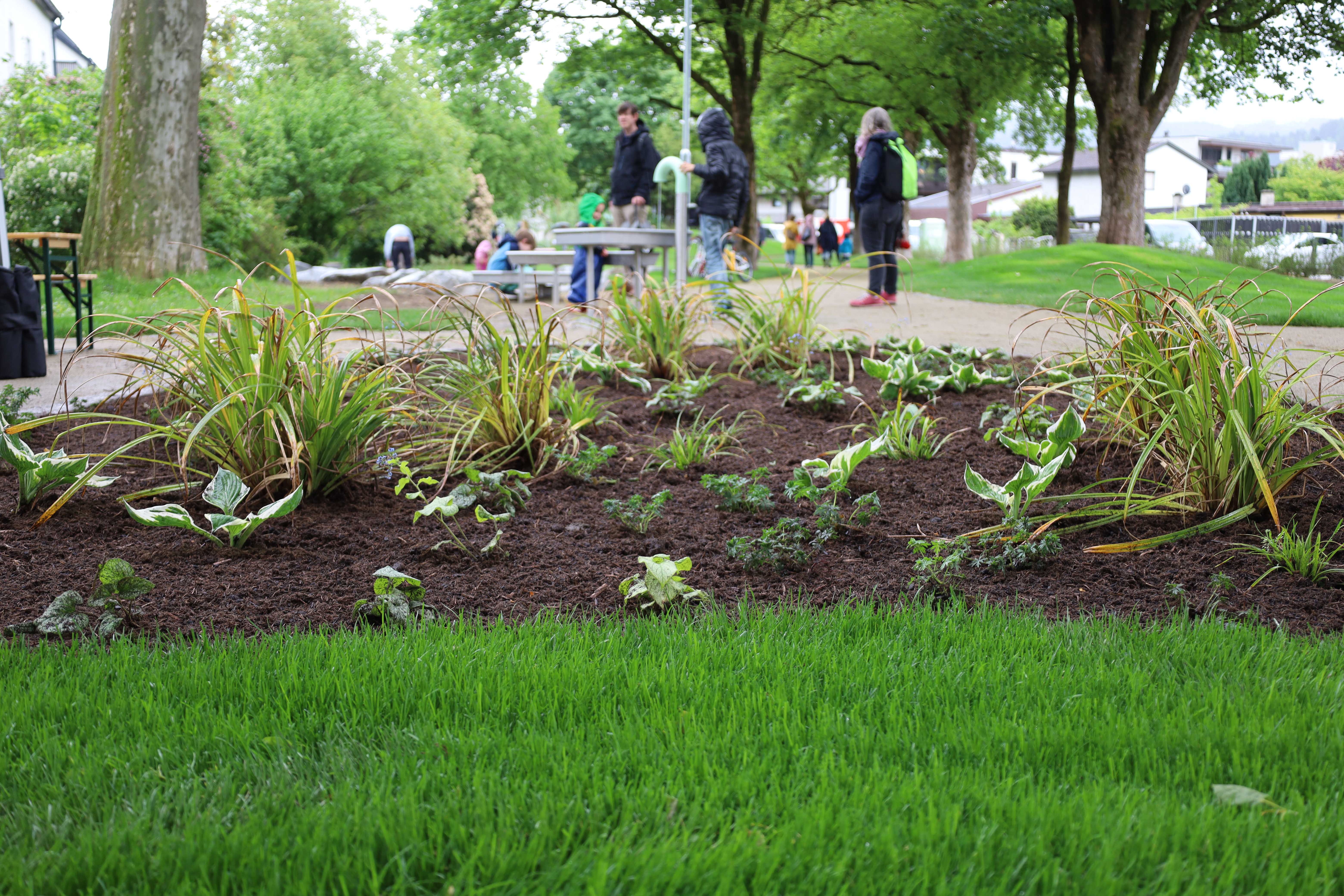 Die Staudenbeete wurden von SchülerInnen der VS Angergasse bepflanzt. Im Hintergrund ist die neue Wasserspielanlage zu sehen.
