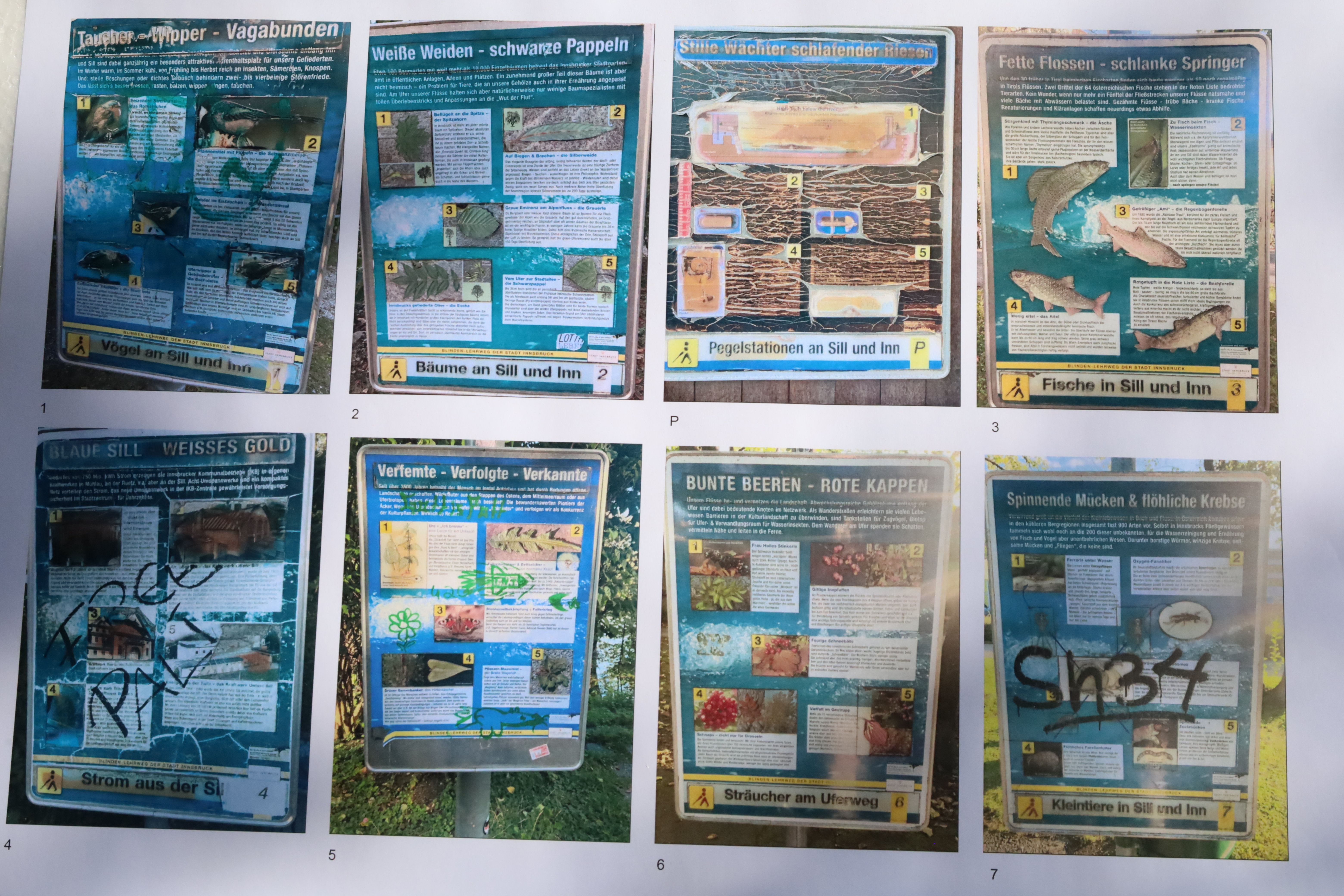 Die alten Informationstafeln im Überblick. Sie werden in nächster Zeit erneuert.