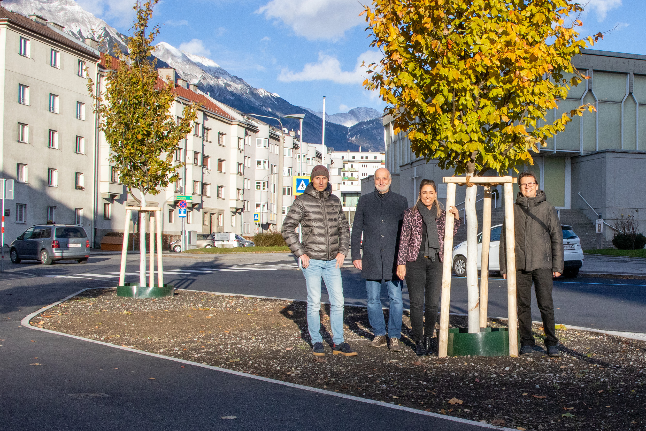 Drei bestehende Eisenholzbäume konnten vor der Fällung bewahrt werden und sorgsam in die Fischnalerstraße übersiedelt werden.