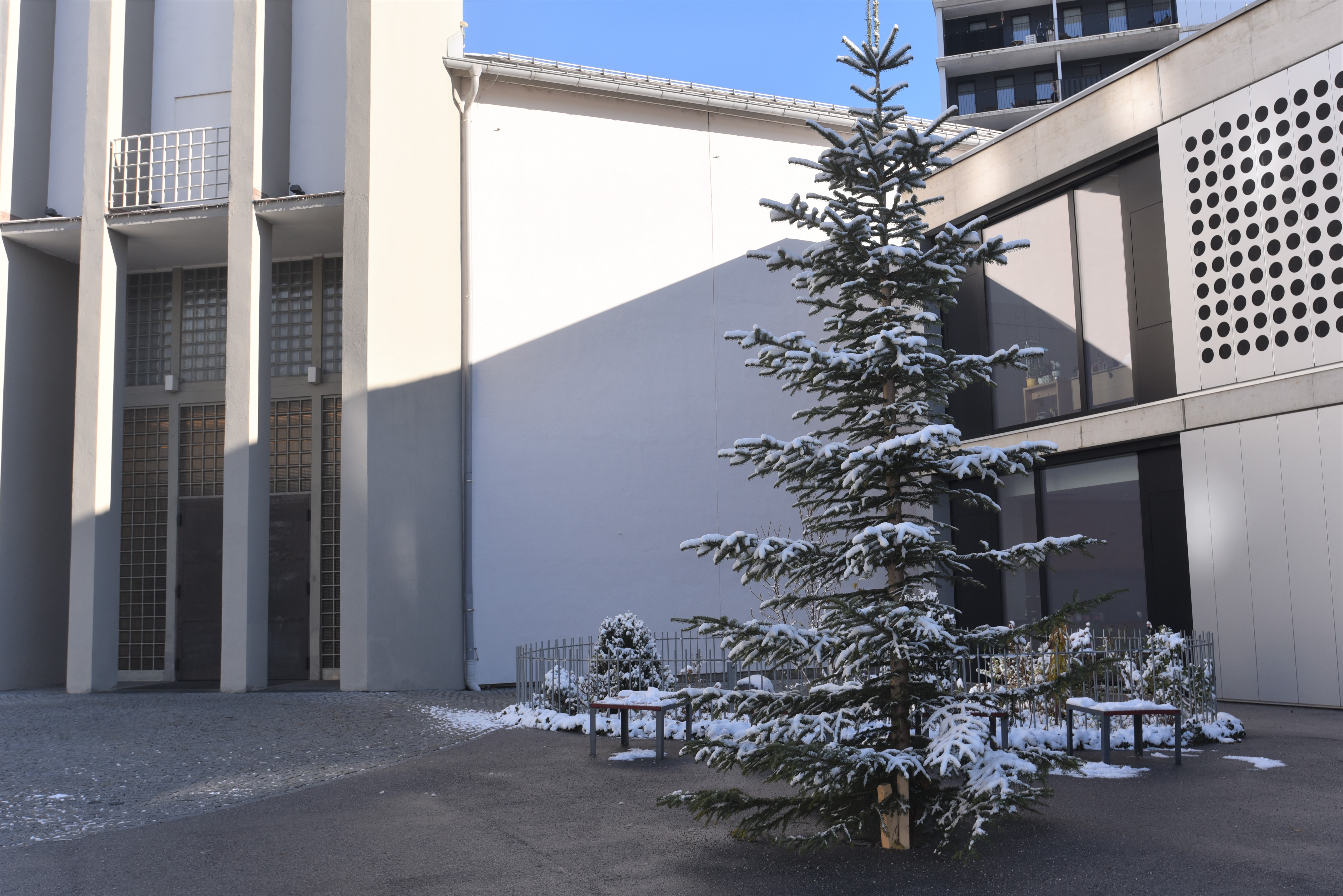 Schon seit Mitte November verbreiten in Innsbruck städtische Weihnachtsbäume vorweihnachtliche Stimmung. Nicht alle sind schon mit weihnachtlichen Lichtern geschmückt, wie zum Beispiel 
jener vor der Pauluskirche im Stadtteil Reichenau.