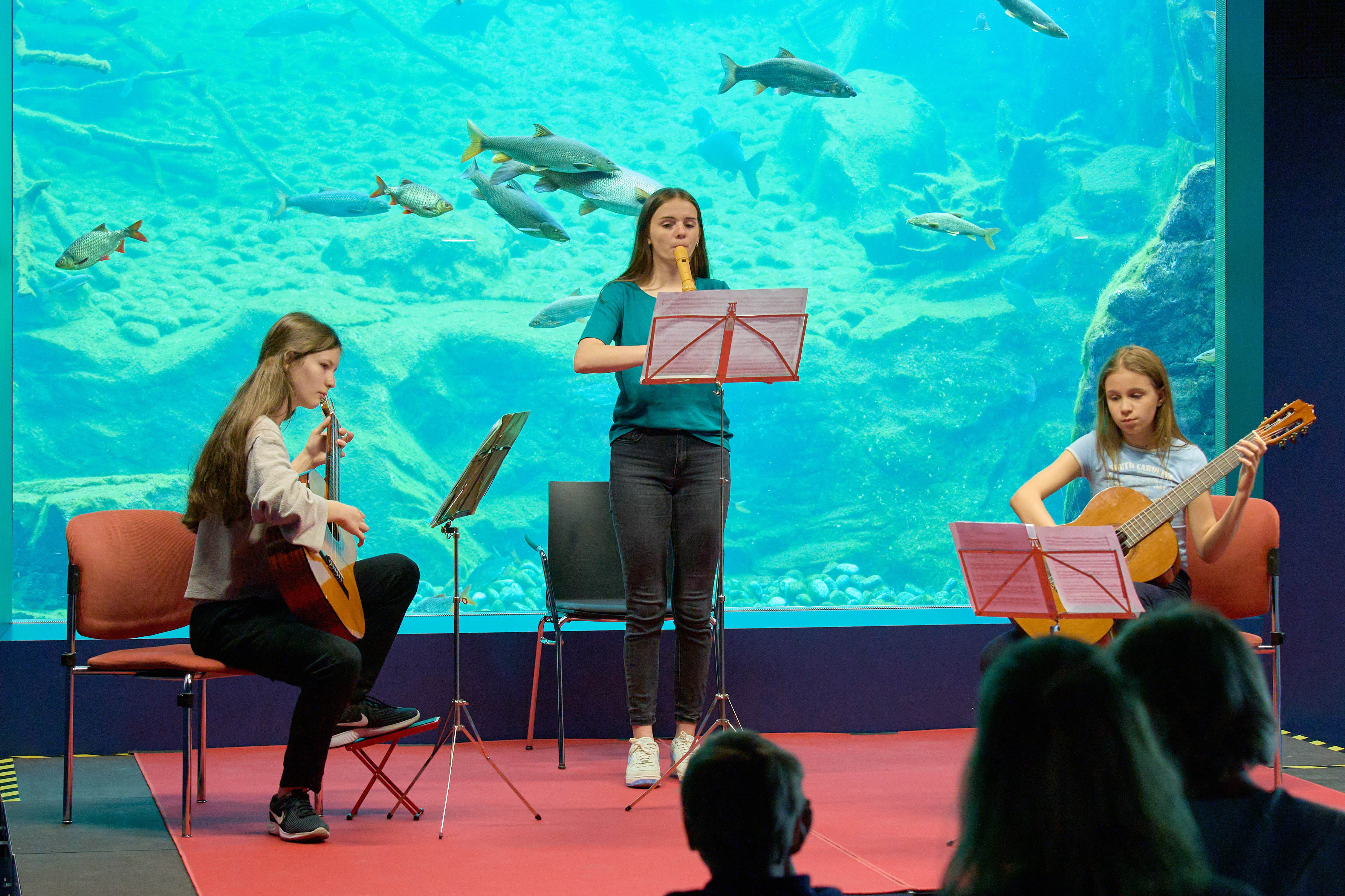 Der stimmungsvolle Hans-Psenner-Saal im Alpenzoo wird am 30. Jänner zur musikalischen Bühne für die Fachgruppen Blockflöte und Zupfinstrumente.