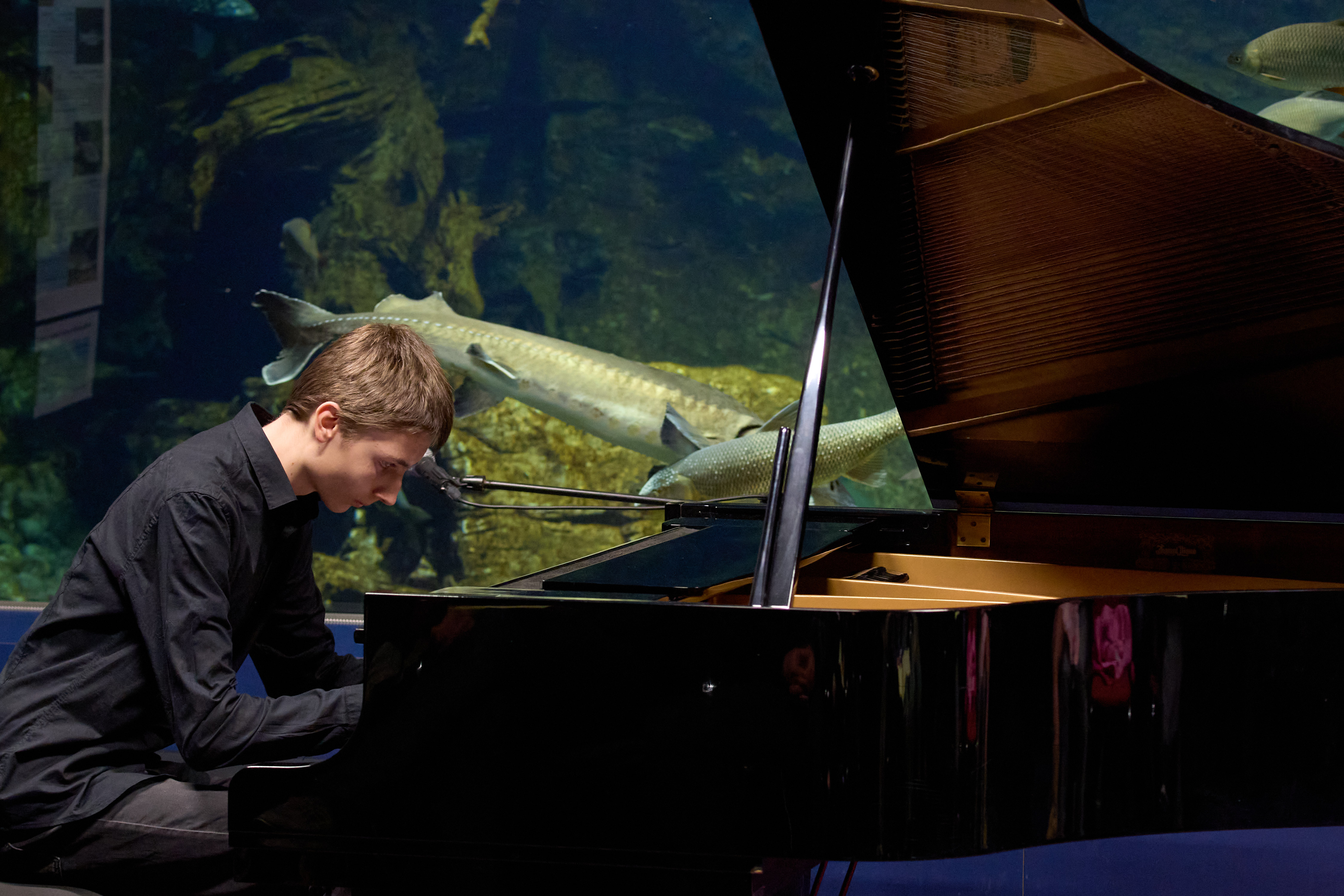 Klaviermusik im stimmungsvollen Ambiente des Hans-Psenner-Saals gibt es am 22. März zu hören.