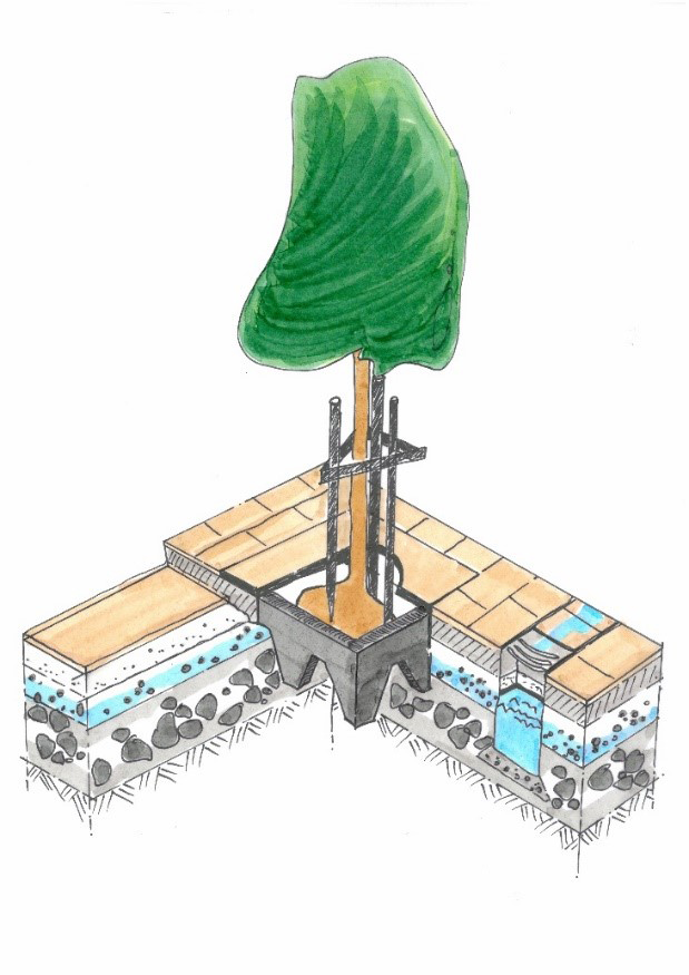 Straßenbaum mit Schwammstadt-Prinzip: Aufbau von
unten nach oben: Mutterboden, grobe Schotterschicht,
feine wasserführende Schicht mit Pflanzenkohle,
Tragschicht, Deckschicht (Pflasterbelag).