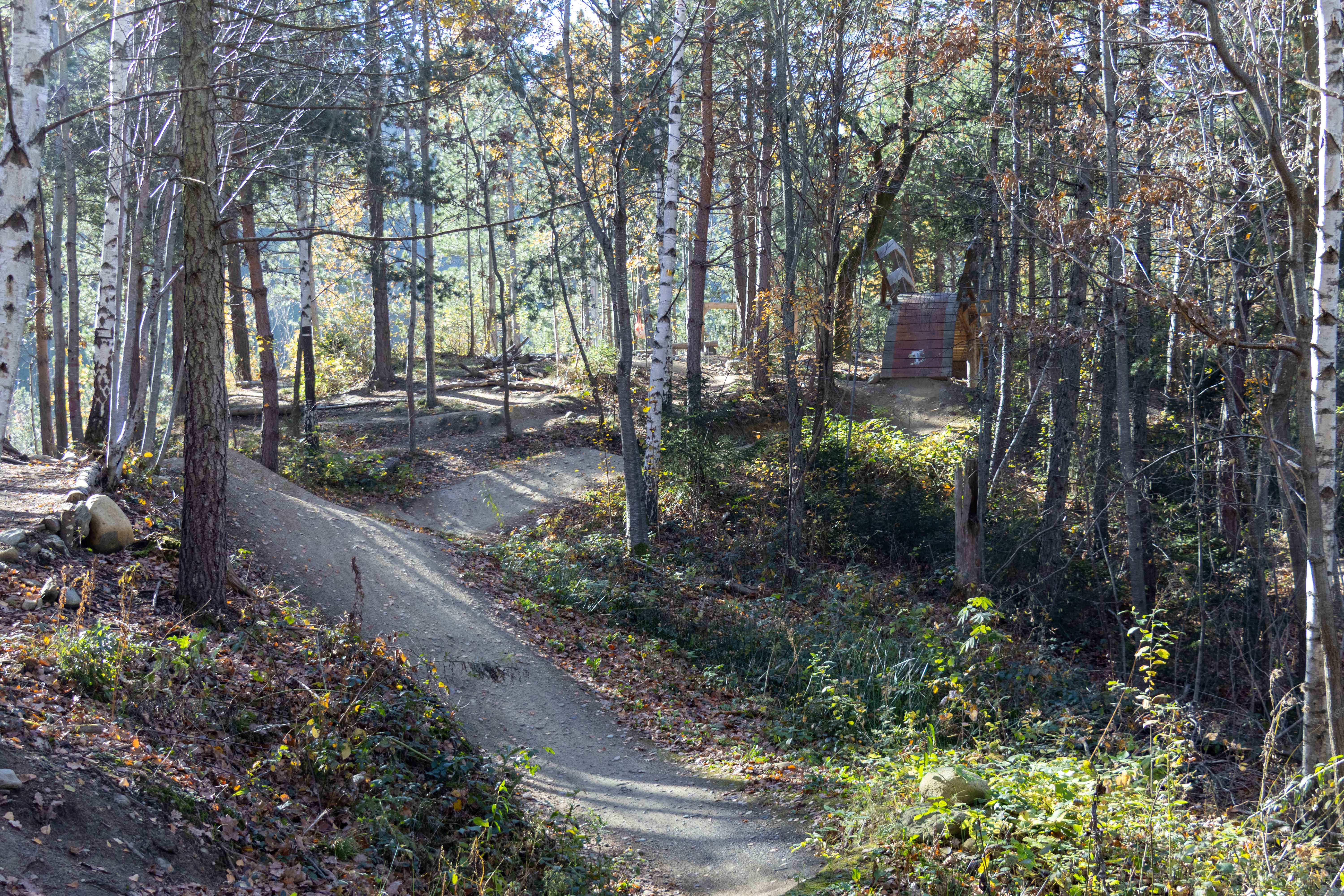 Die bisherigen Bichl Trails werden gut genutzt. Mit dem zweiten Teil ergänzt die Stadt Innsbruck das Areal um zusätzliche Übungs- und Trainingsbereiche sowie Rundstrecken.