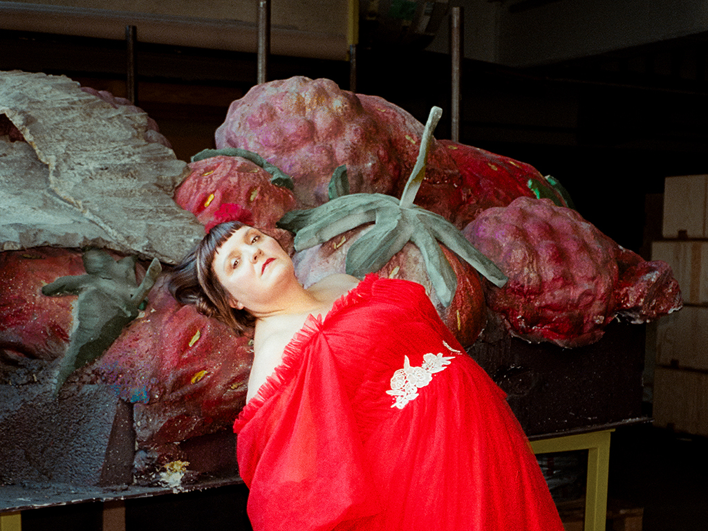 Mit der Spielzeit 2009/10 wurde Petra Alexandra Pippan Ensemblemitglied am Tiroler Landestheater und hat sich mit verschiedenen Rollen in die Herzen des Publikums gespielt.