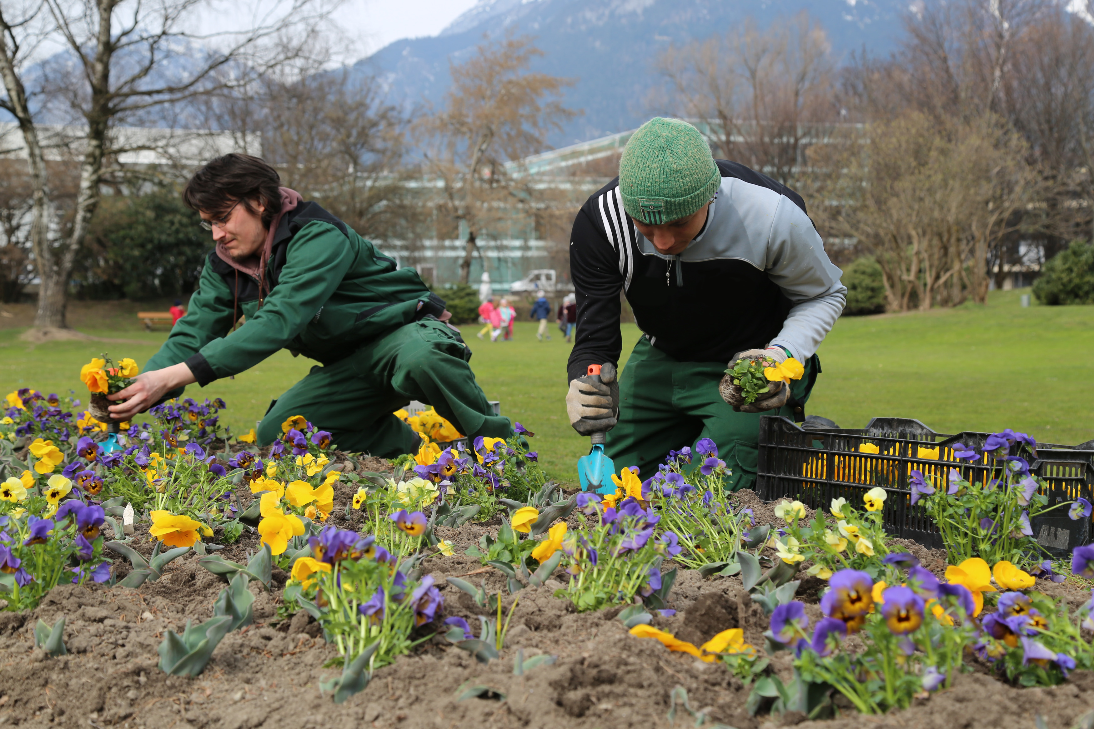 Die Beete werden von den MitarbeiterInnen der Stadtgartendirektion mit viel Liebe dreimal im Jahr neu bepflanzt.