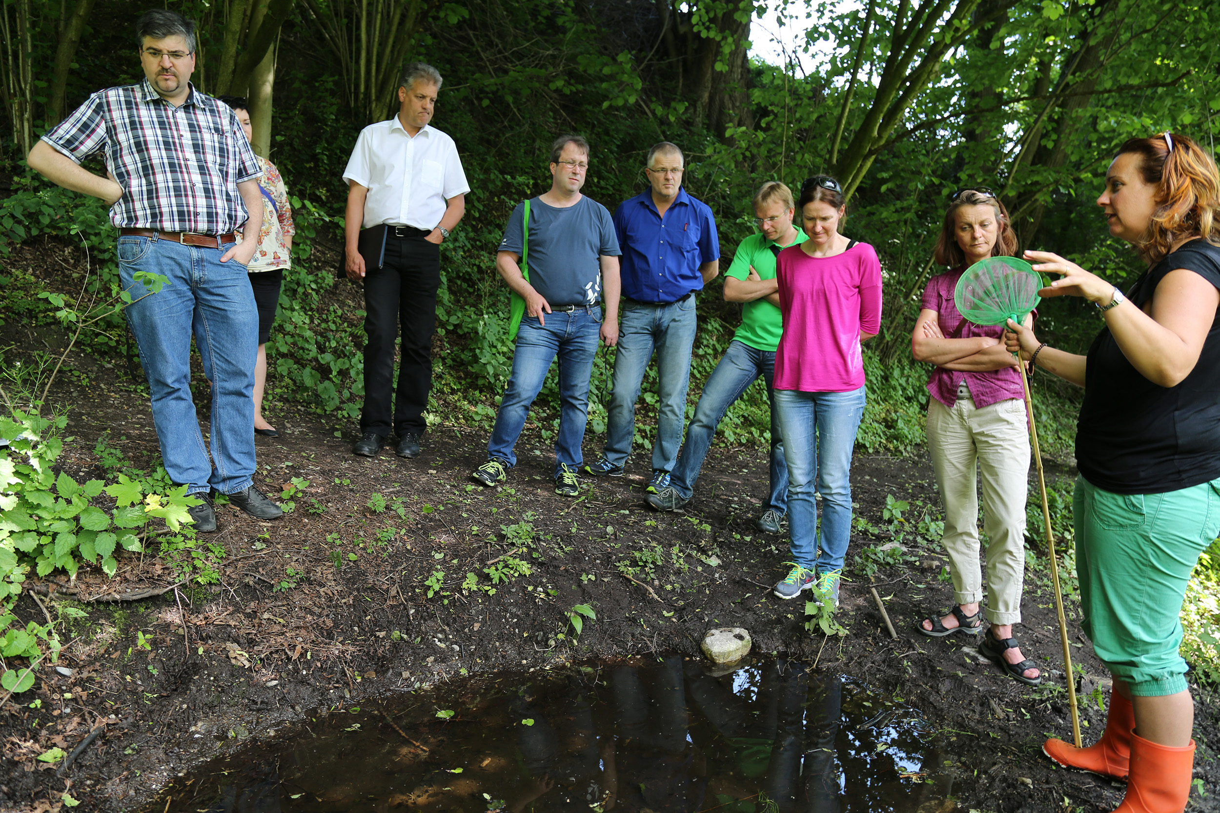 Der Ausschuss für Umwelt, Energie und Mobilität, unter der Vorsitzenden Uschi Schwarzl, besuchte das Mühlauer Fuchsloch. 1989 wurde ein Großteil der heutigen Teiche vom Mühlauer Erwin Kögl angelegt. Seit 1998 wird das 2,5 ha große Naturschutzgebiet durch „natopia“ betreut. Die Stadt Innsbruck fördert dieses Projekt und konnte sich im Beisein von Vizebürgermeisterin Sonja Pitscheider von der hervorragenden Arbeit überzeugen. Biotopsmanagerin Sylvia Auer wartet mit beeindruckenden Zahlen auf und sogar der seltene Teichmolch sowie der Bergmolch konnte gesichtet werden.
