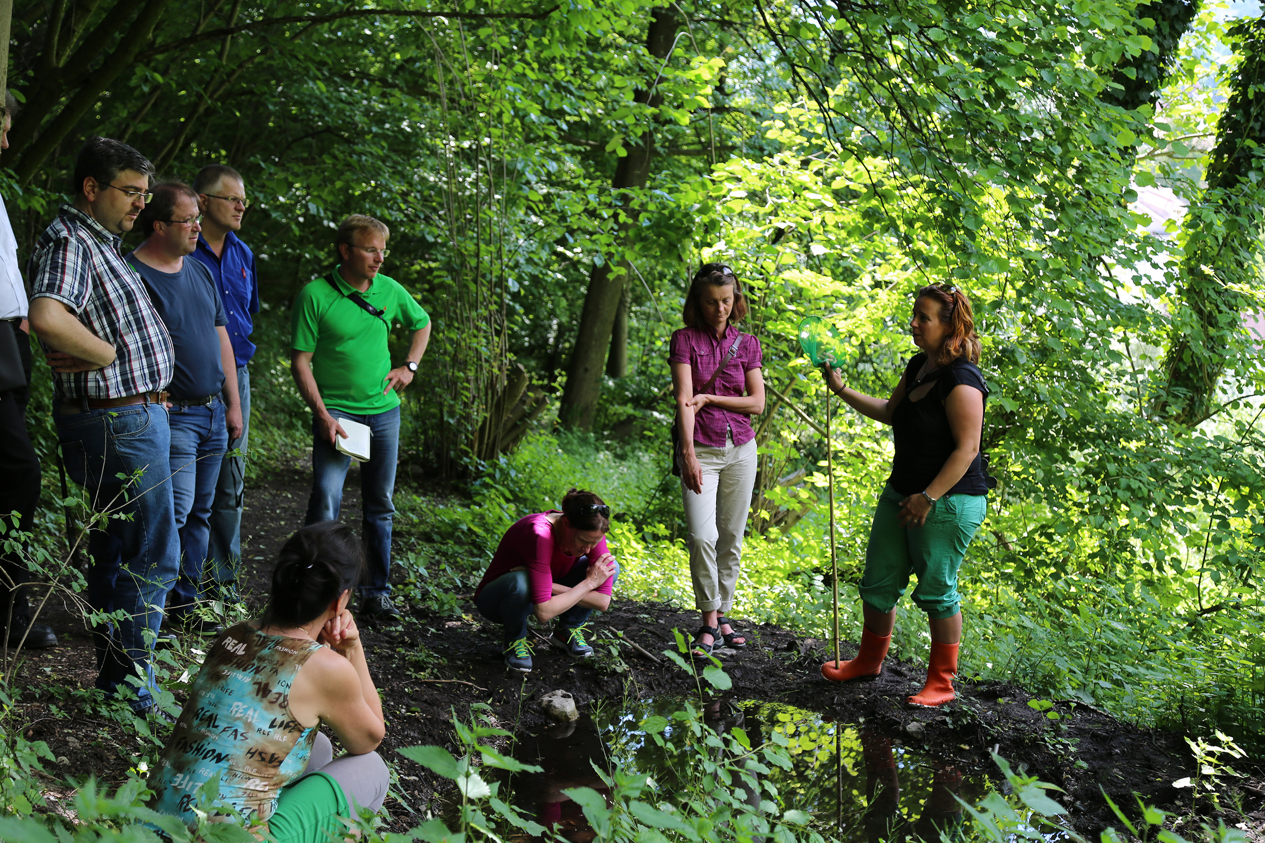 Der Ausschuss für Umwelt, Energie und Mobilität, unter der Vorsitzenden Uschi Schwarzl, besuchte das Mühlauer Fuchsloch. 1989 wurde ein Großteil der heutigen Teiche vom Mühlauer Erwin Kögl angelegt. Seit 1998 wird das 2,5 ha große Naturschutzgebiet durch „natopia“ betreut. Die Stadt Innsbruck fördert dieses Projekt und konnte sich im Beisein von Vizebürgermeisterin Sonja Pitscheider von der hervorragenden Arbeit überzeugen. Biotopsmanagerin Sylvia Auer wartet mit beeindruckenden Zahlen auf und sogar der seltene Teichmolch sowie der Bergmolch konnte gesichtet werden.