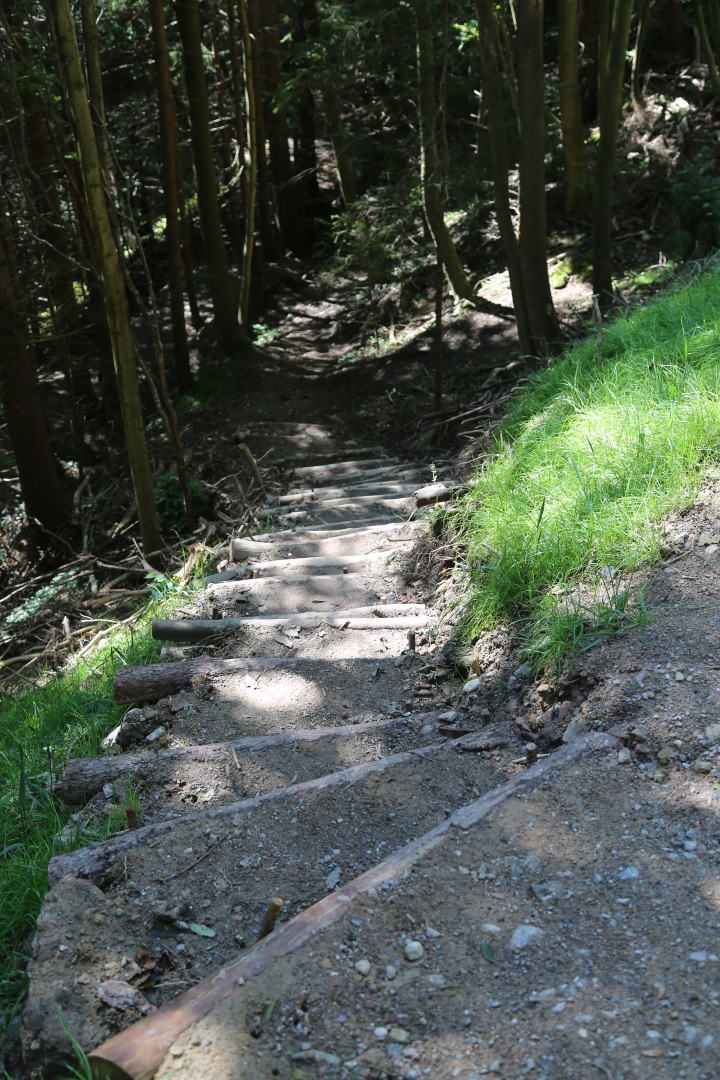 Das städtische Forstamt pflegt das ganze Jahr über die Wege im größten Naherholungsgebiet der Tiroler Landeshauptstadt. Hier wurde ein steiler, unbefestigter Aufstieg mittels quer eingelegtem Rundholz gesichert.
