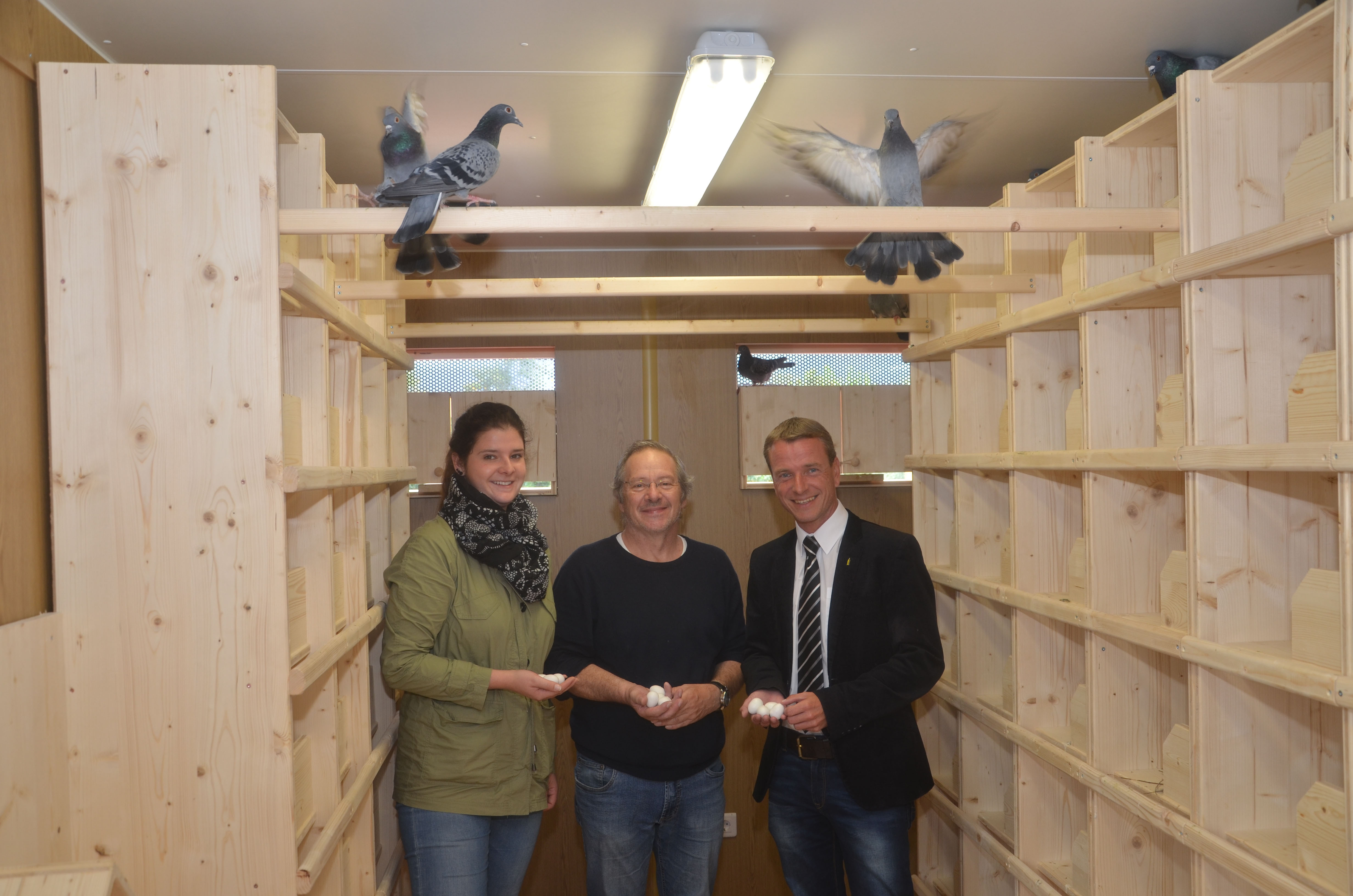 Amtstierärztin Martina Reitmayr zeigte gemeinsam mit Anton Zung dem Vizebürgermeister Christoph Kaufmann den neuen Taubenschlag im O-Dorf.