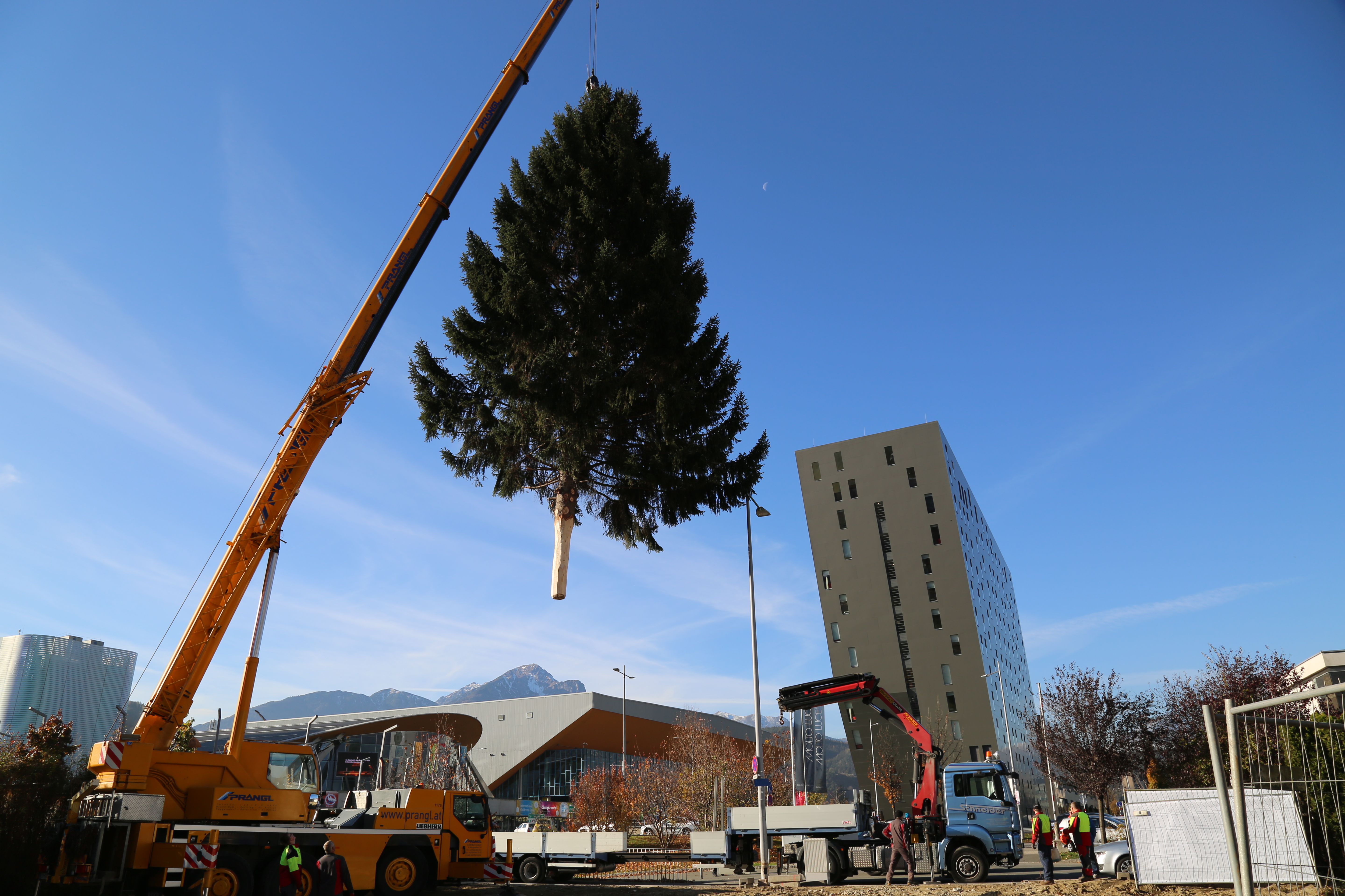 Die 19,5 Meter hohe Fichte schwebt über der Resselstraße, als sie vom Garten zum Tieflader gehoben wird.